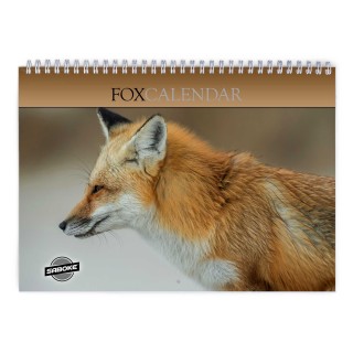 Fox 2027 Wall Calendar