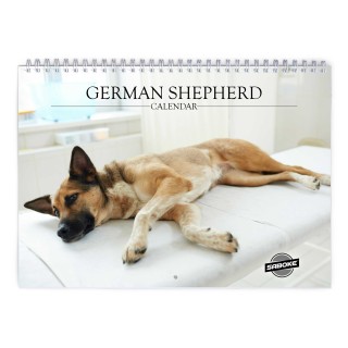 German Shepherd 2027 Wall Calendar