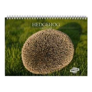 Hedgehog 2027 Wall Calendar