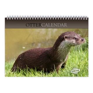 Otter 2027 Wall Calendar