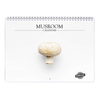 Paddestoel 2027 Wandkalender