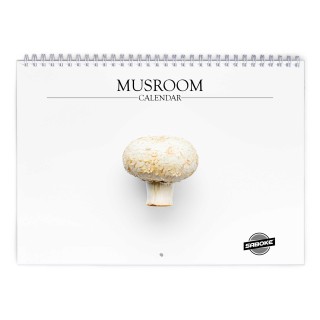 Mushroom 2027 Wall Calendar