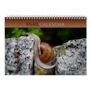 Snail 2027 Wall Calendar