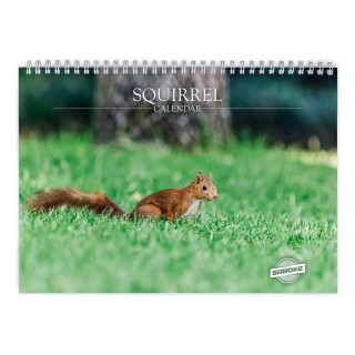 Squirrel 2027 Wall Calendar