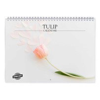 Tulp 2027 Wandkalender