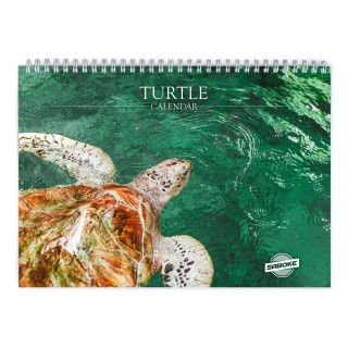 Turtle 2027 Wall Calendar