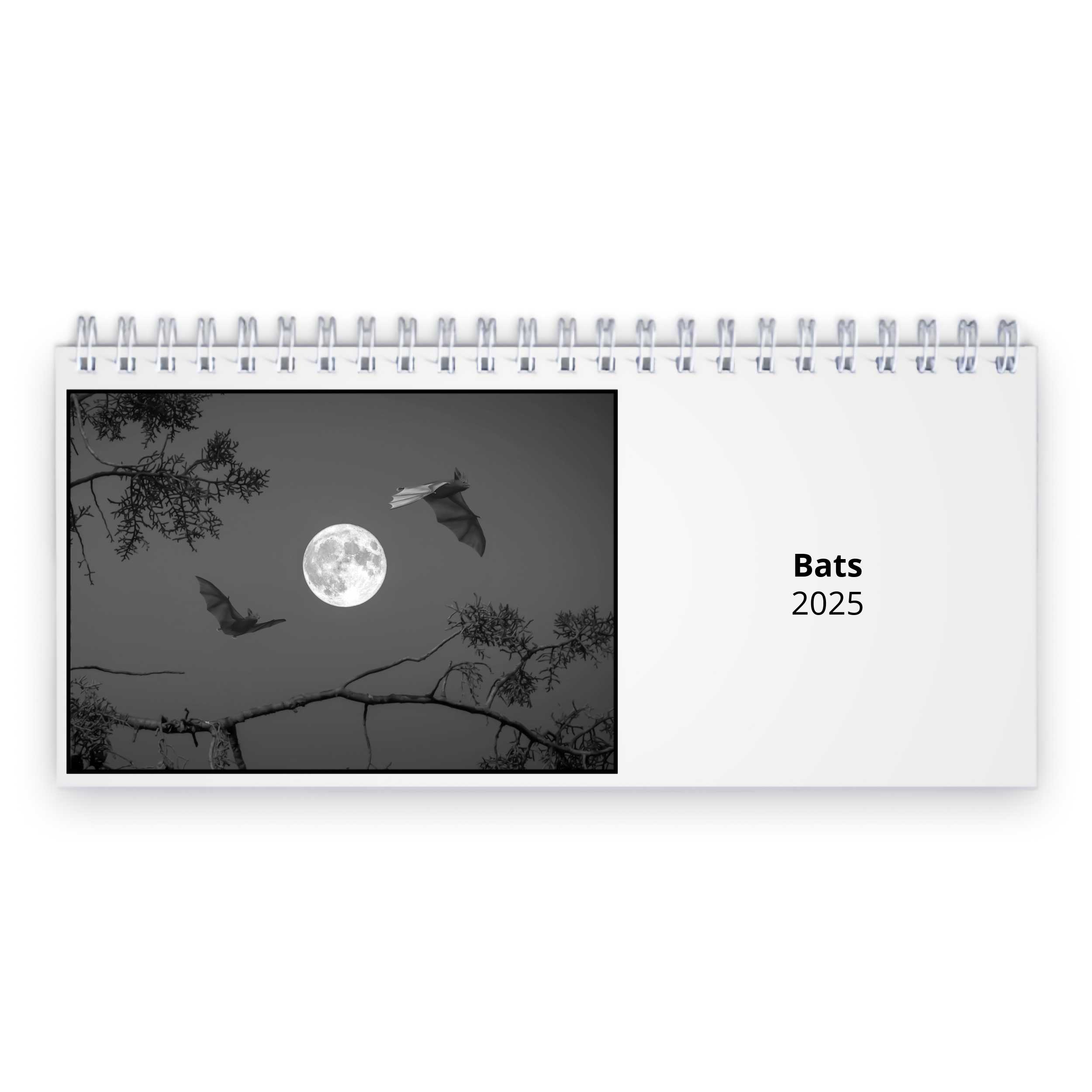Bats 2025 Desk Calendar