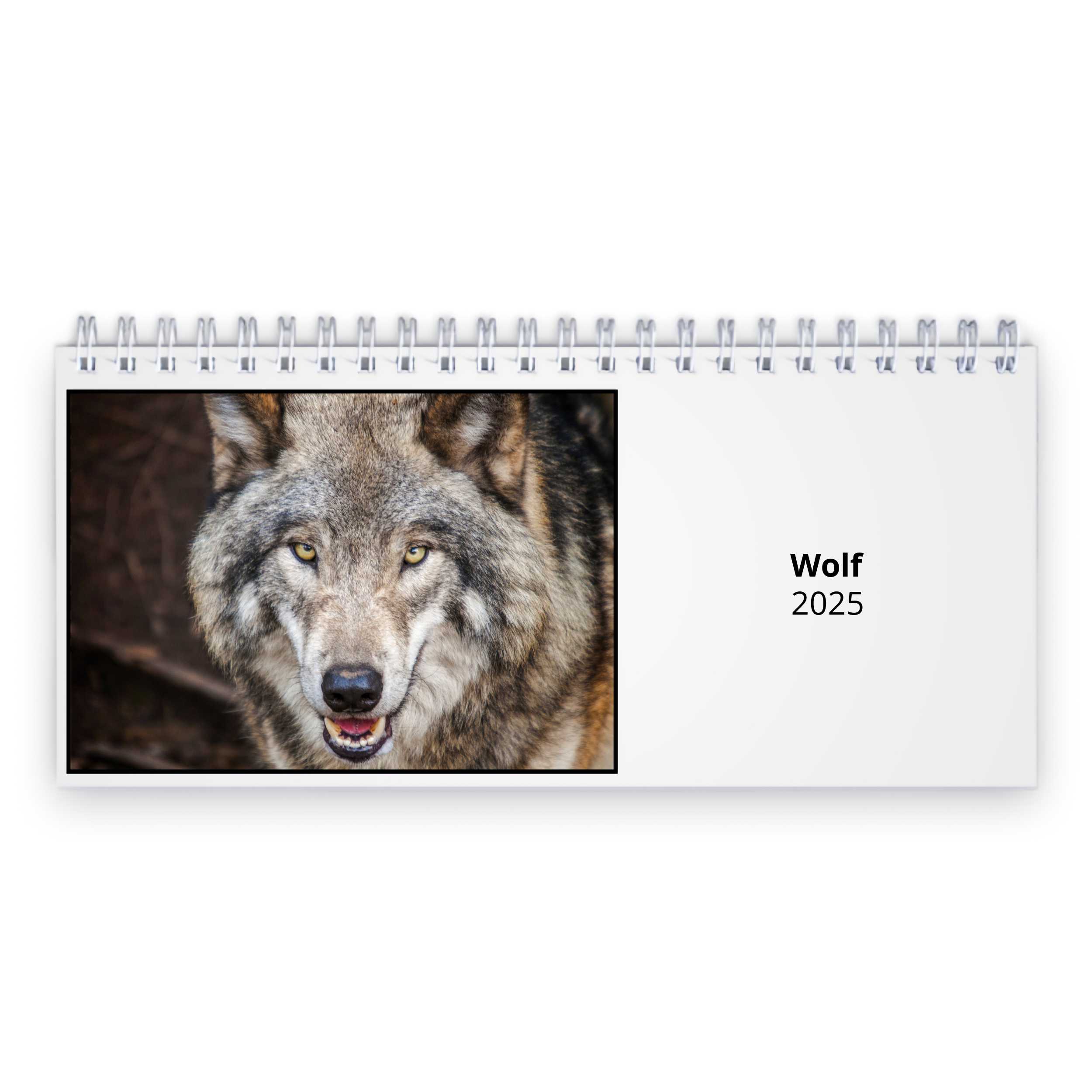 Wolf 2025 Desk Calendar
