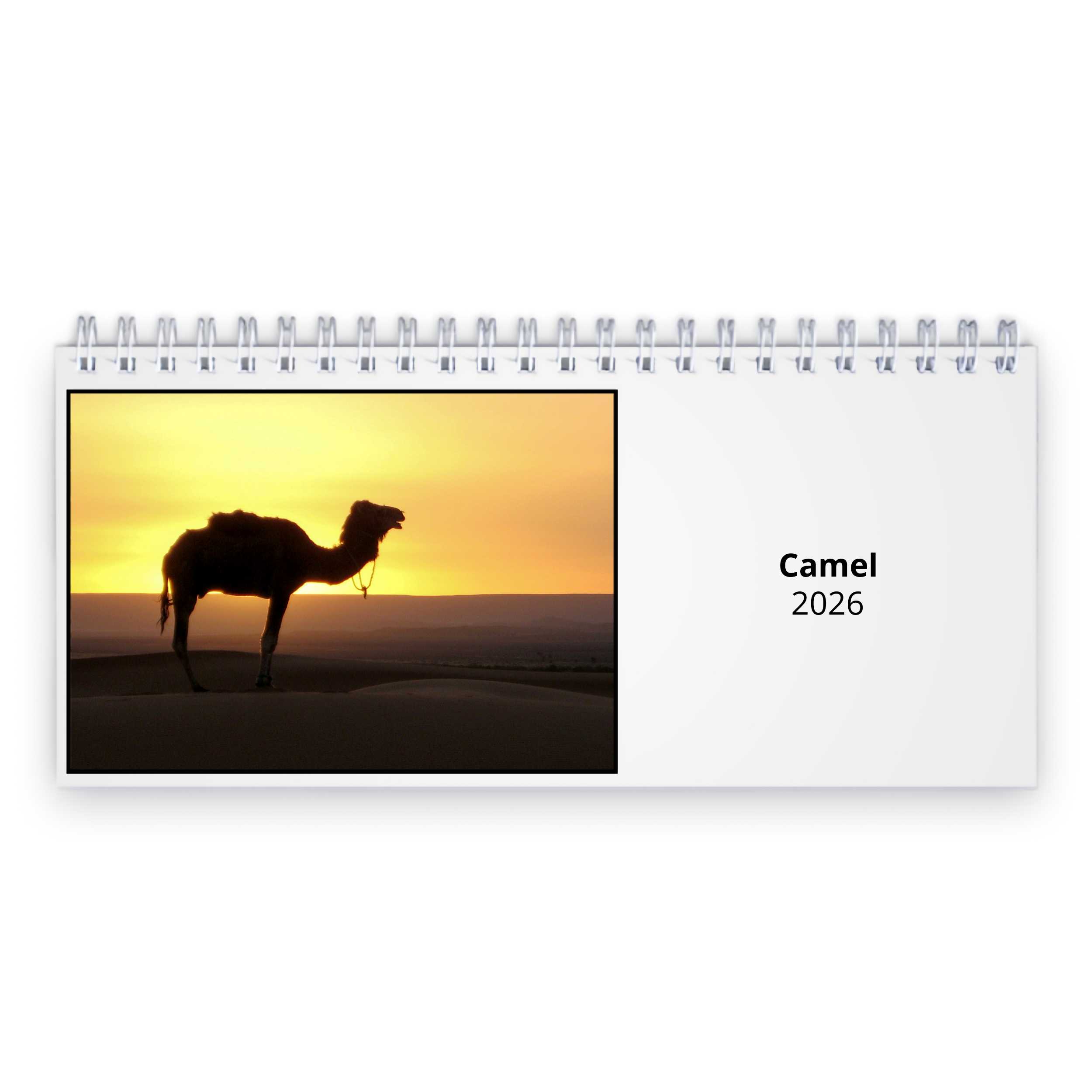 Camel 2025 Desk Calendar