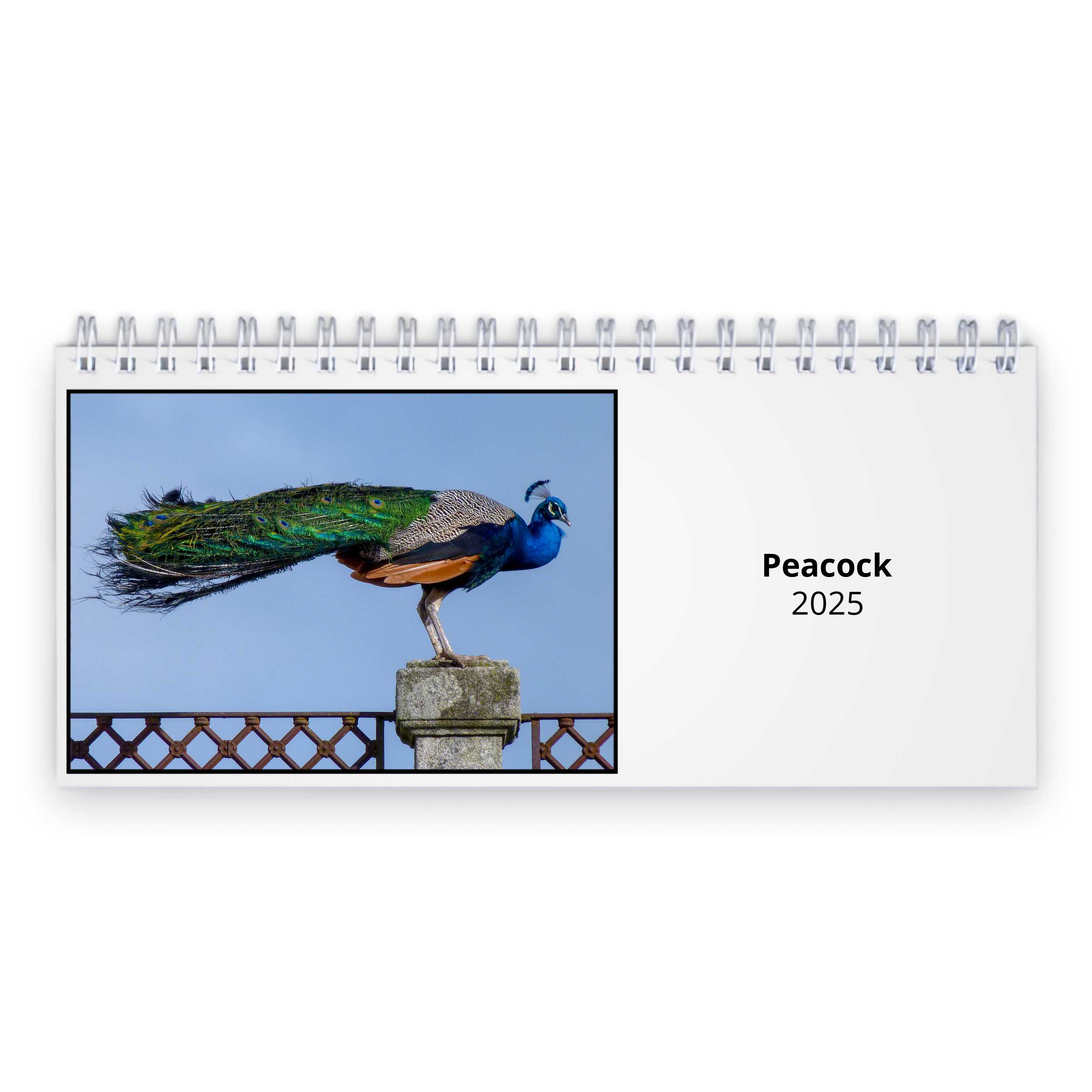 Peacock 2025 Desk Calendar