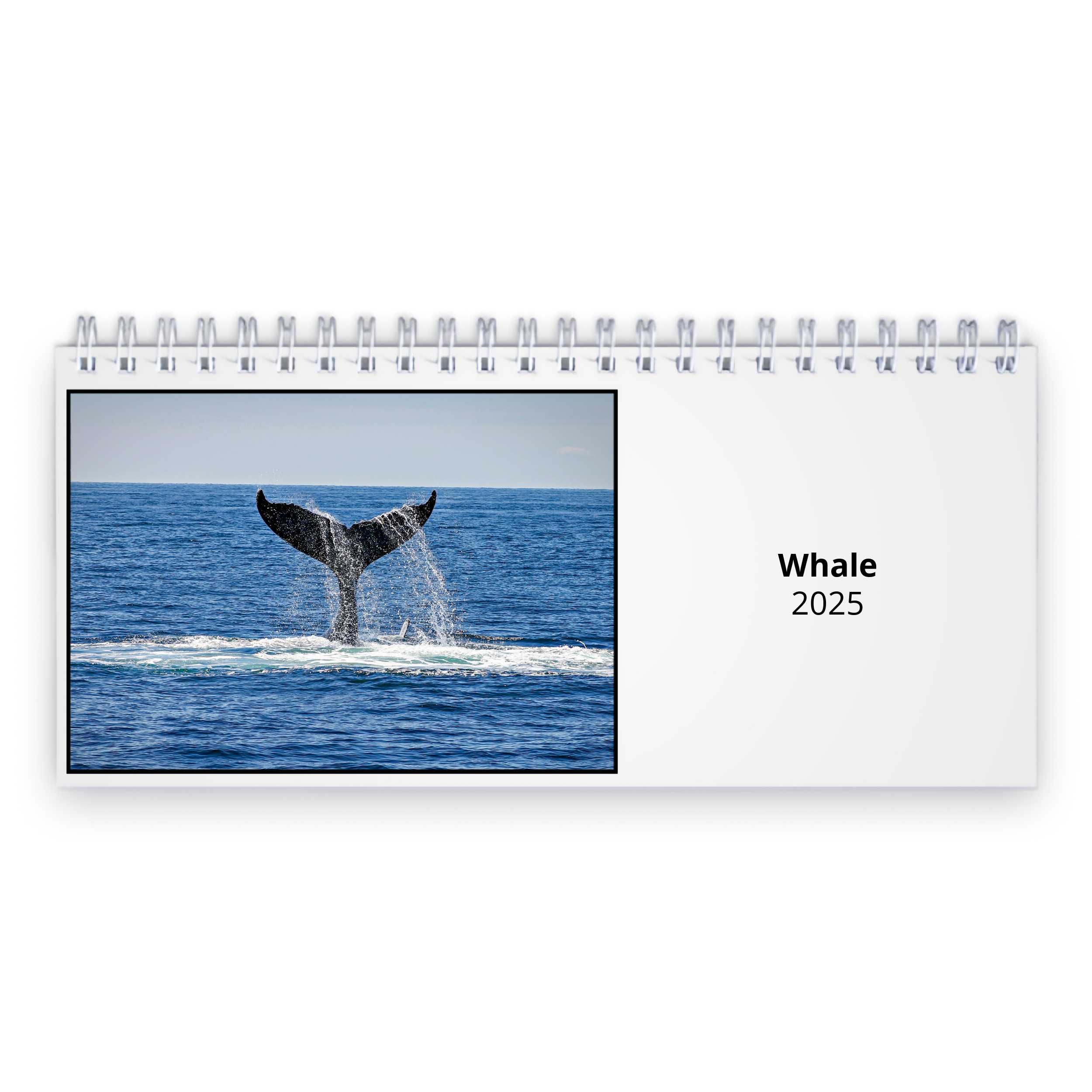 Whale 2025 Desk Calendar