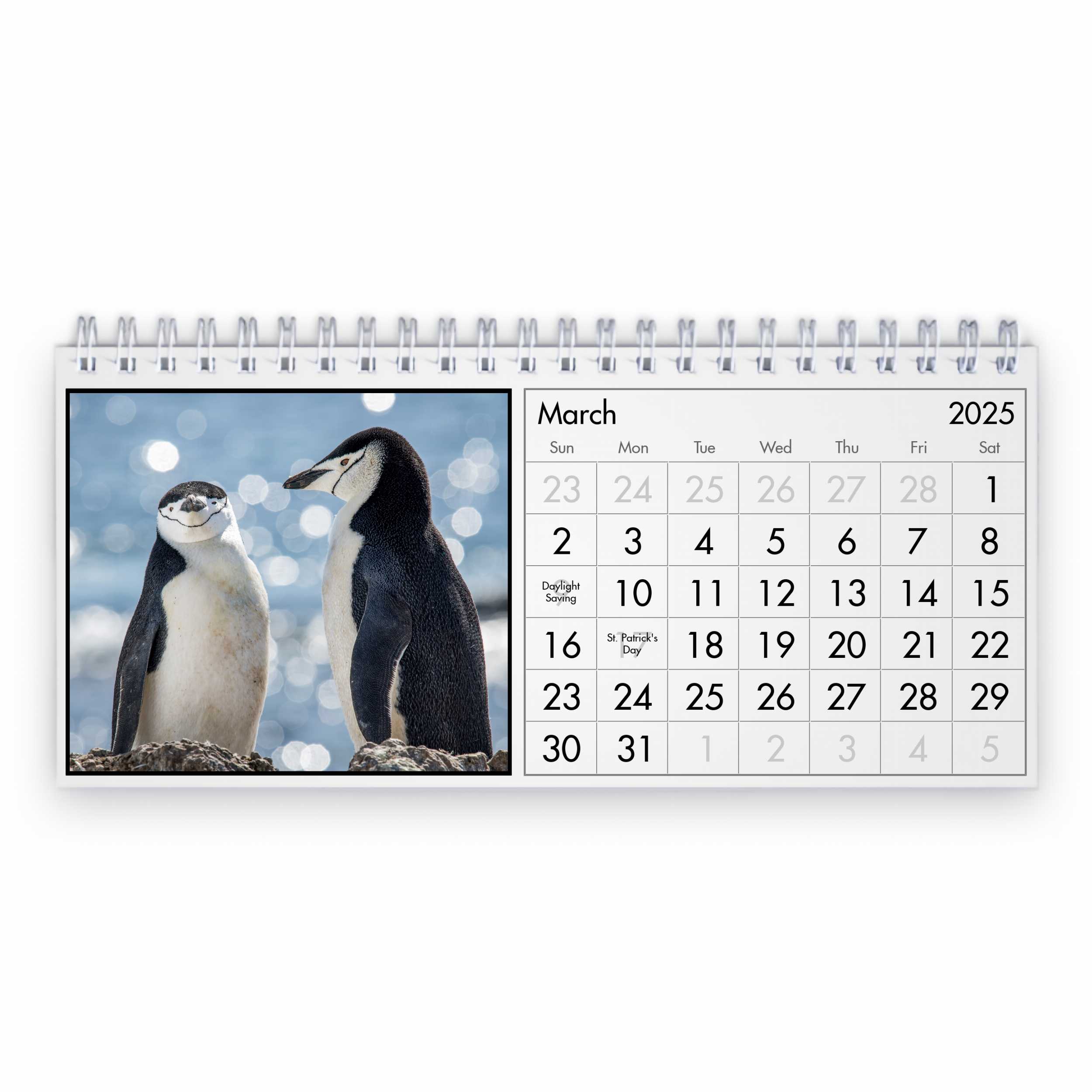 ペンギン 2025 年卓上カレンダー