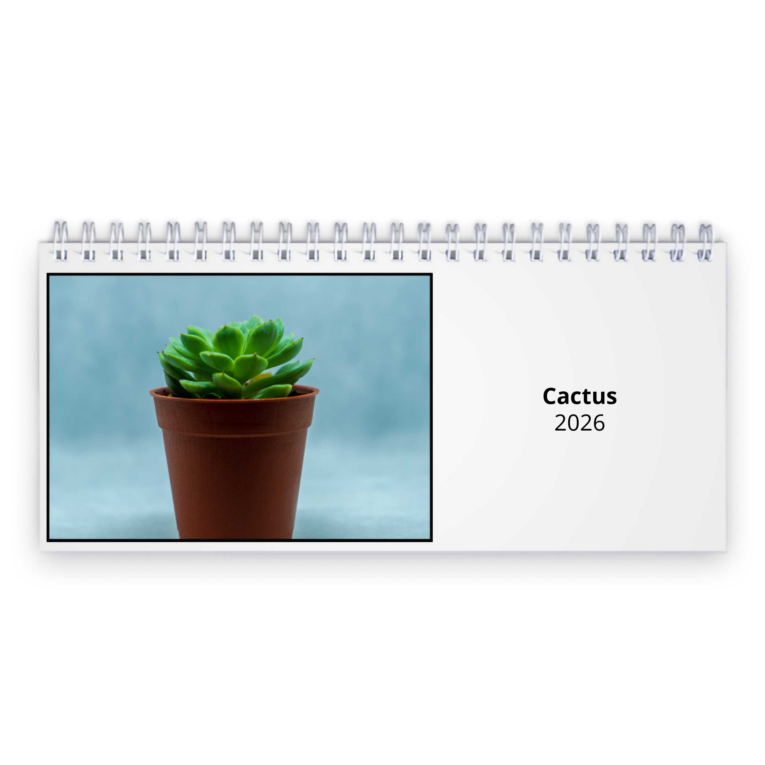 Cactus 2026 Desk Calendar