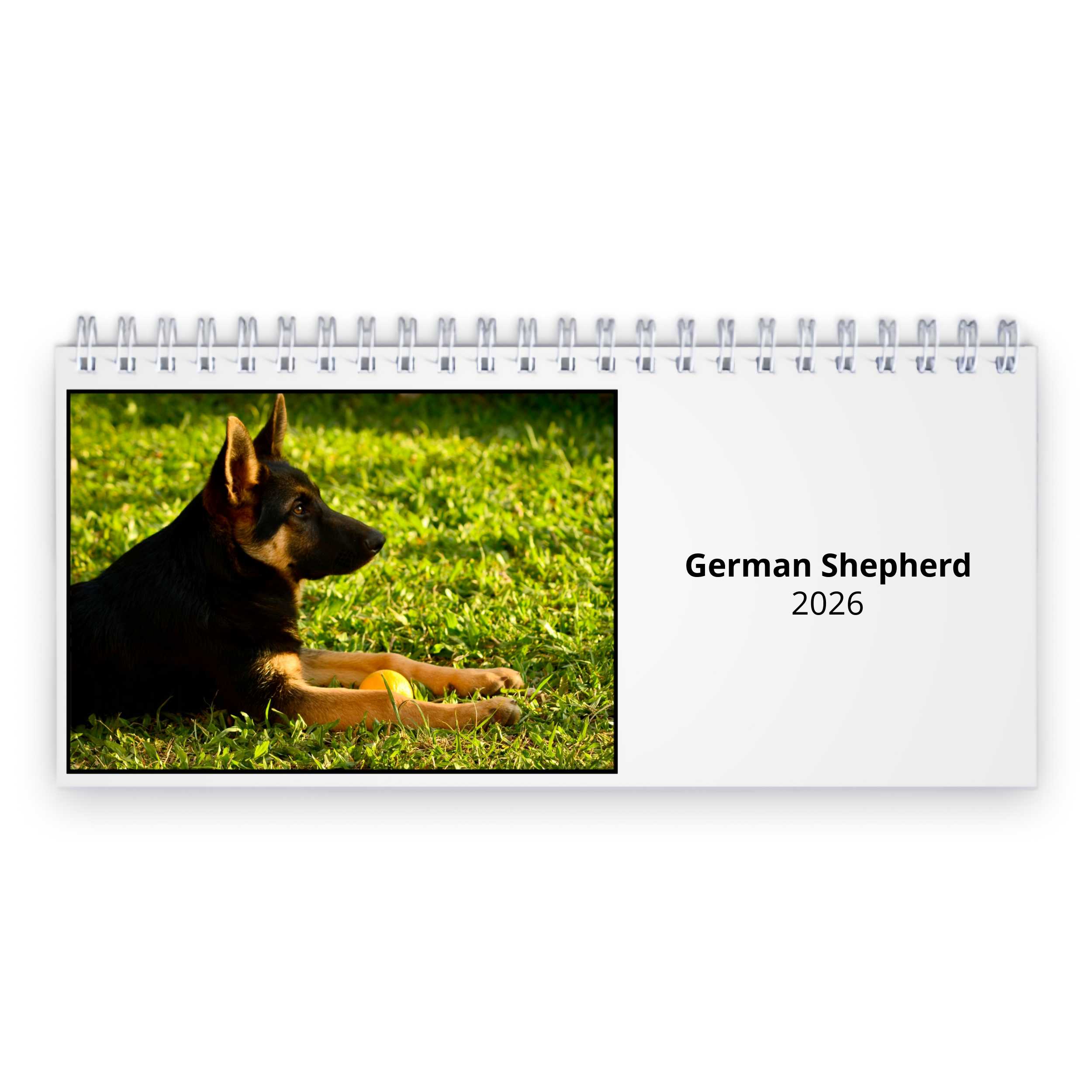 German Shepherd 2026 Desk Calendar
