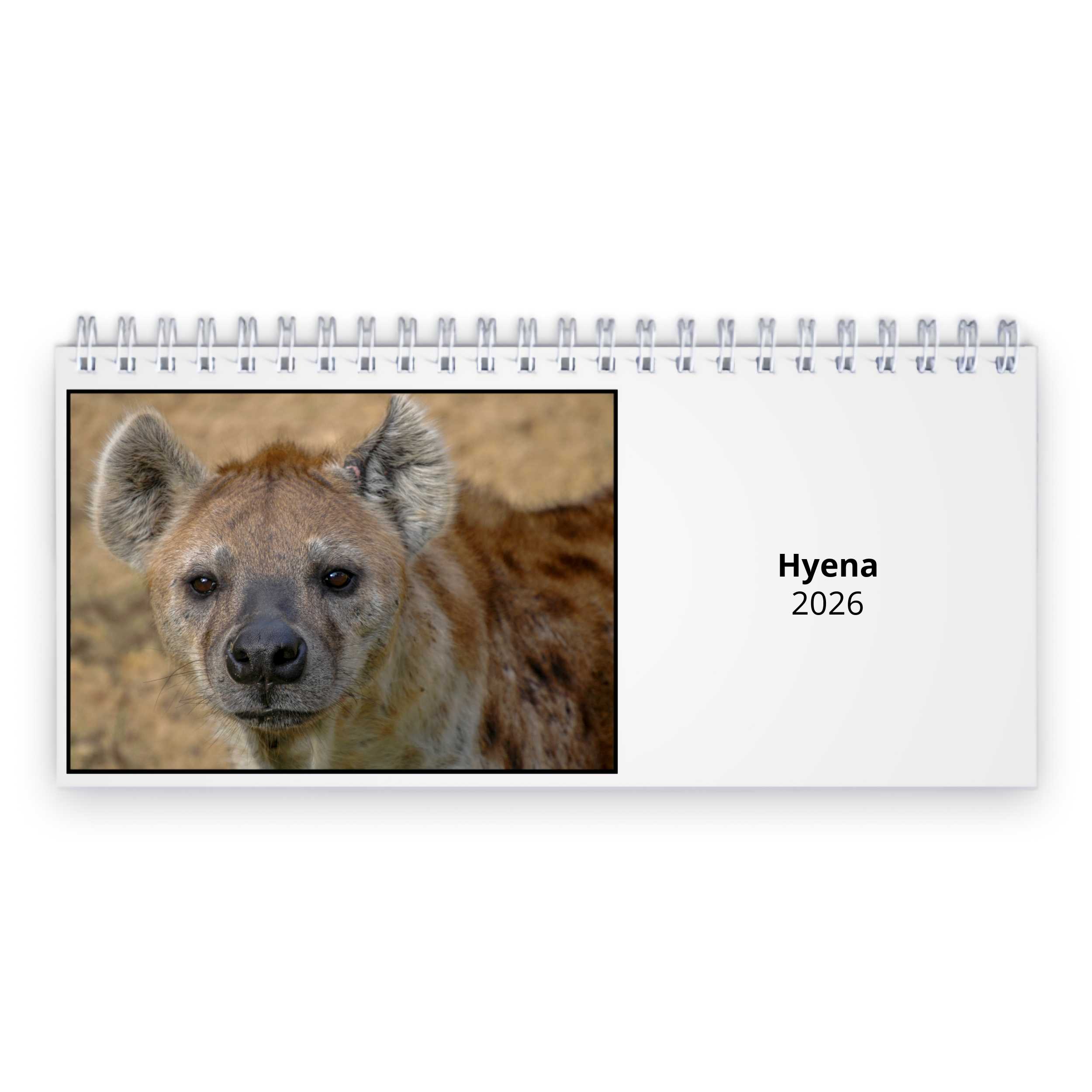 Hyena 2026 Desk Calendar