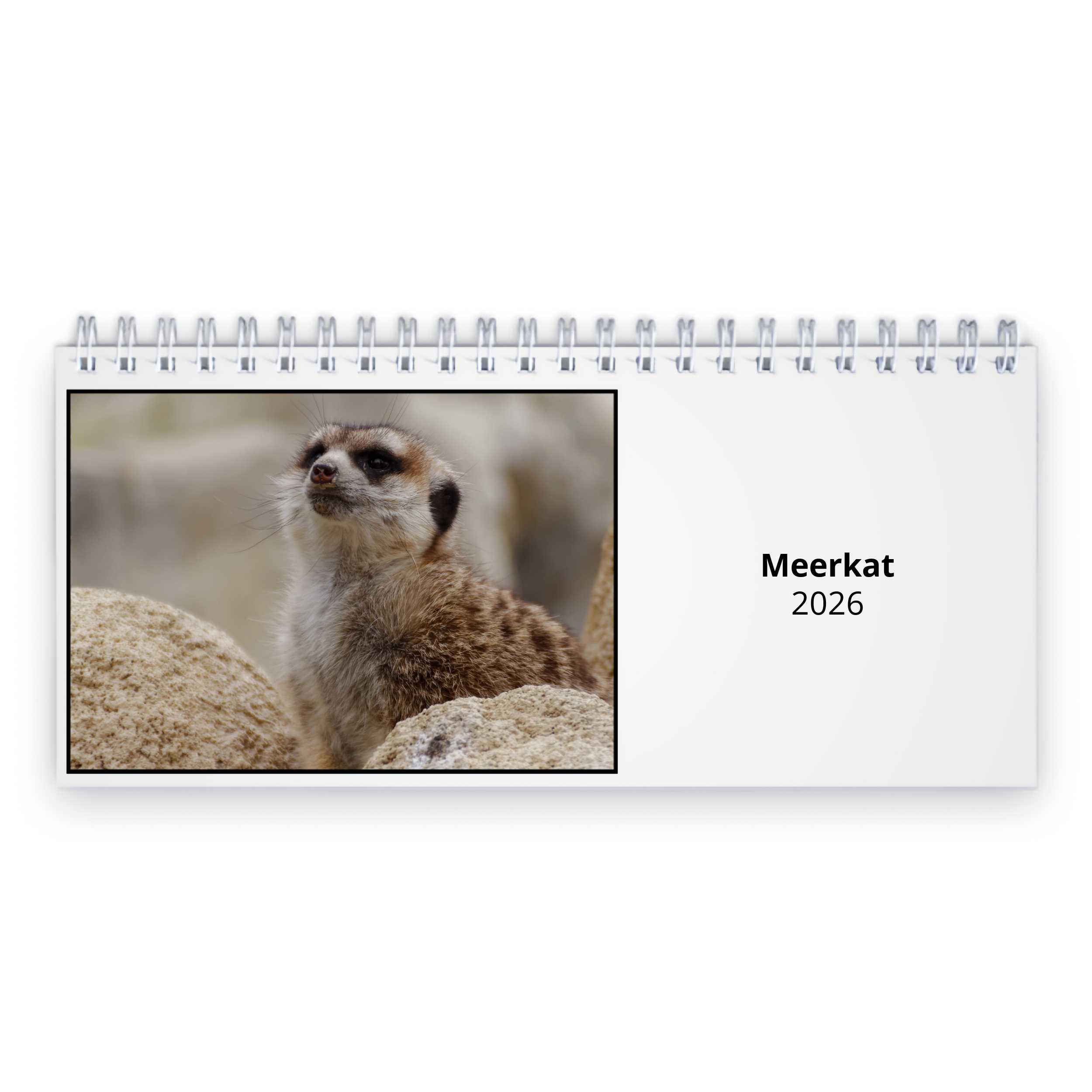 Meerkat 2026 Desk Calendar
