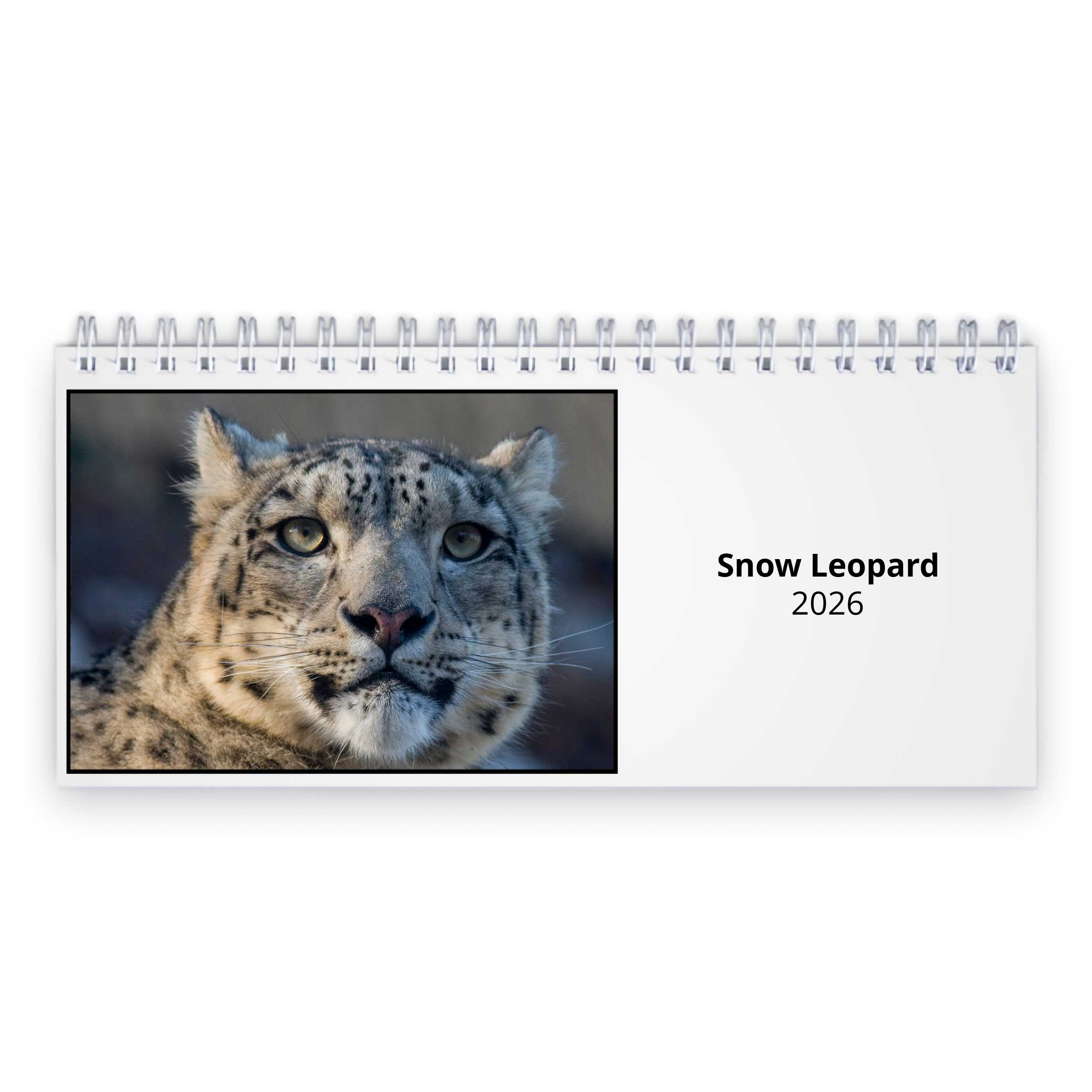 Snow Leopard 2026 Desk Calendar