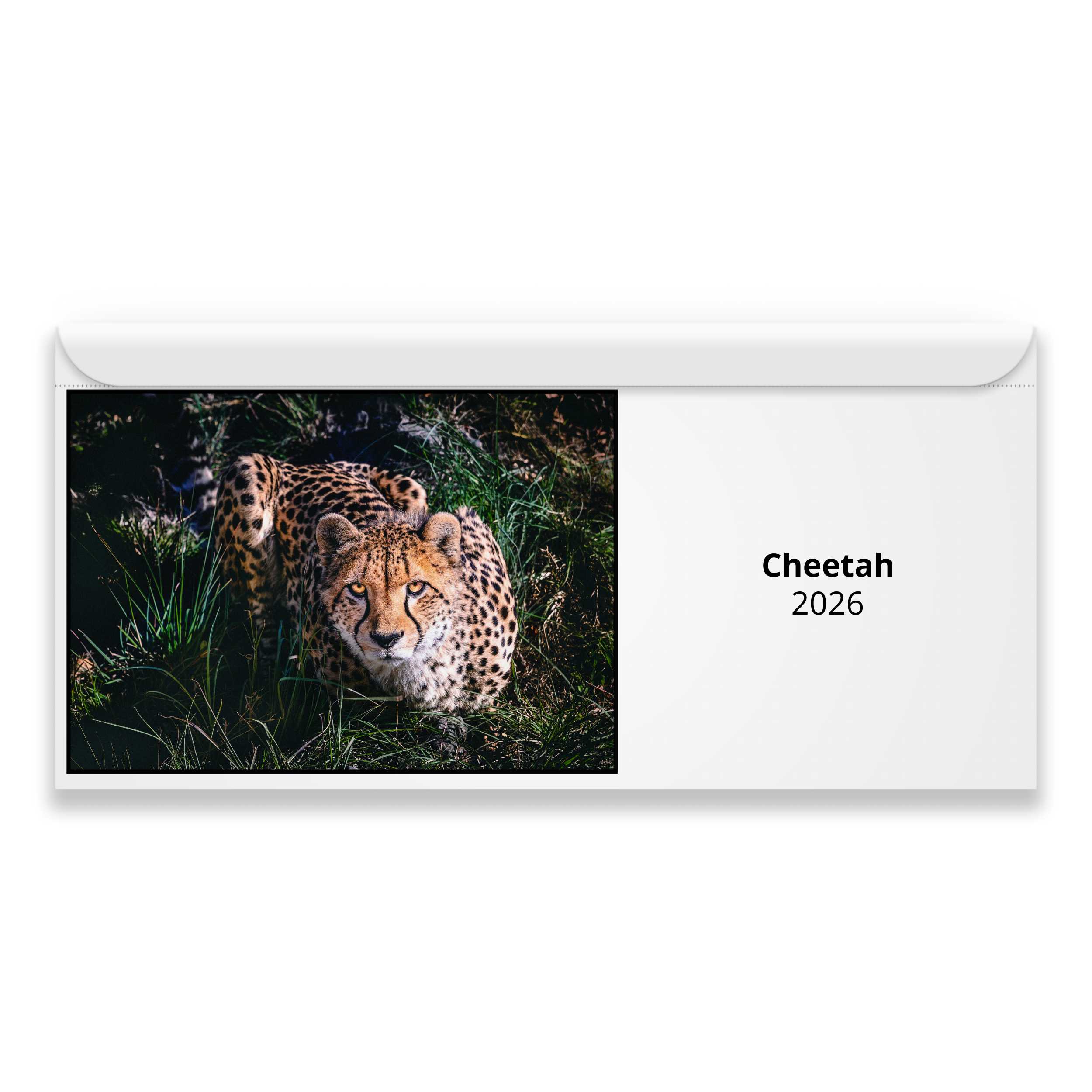 Cheetah 2026 Calendar