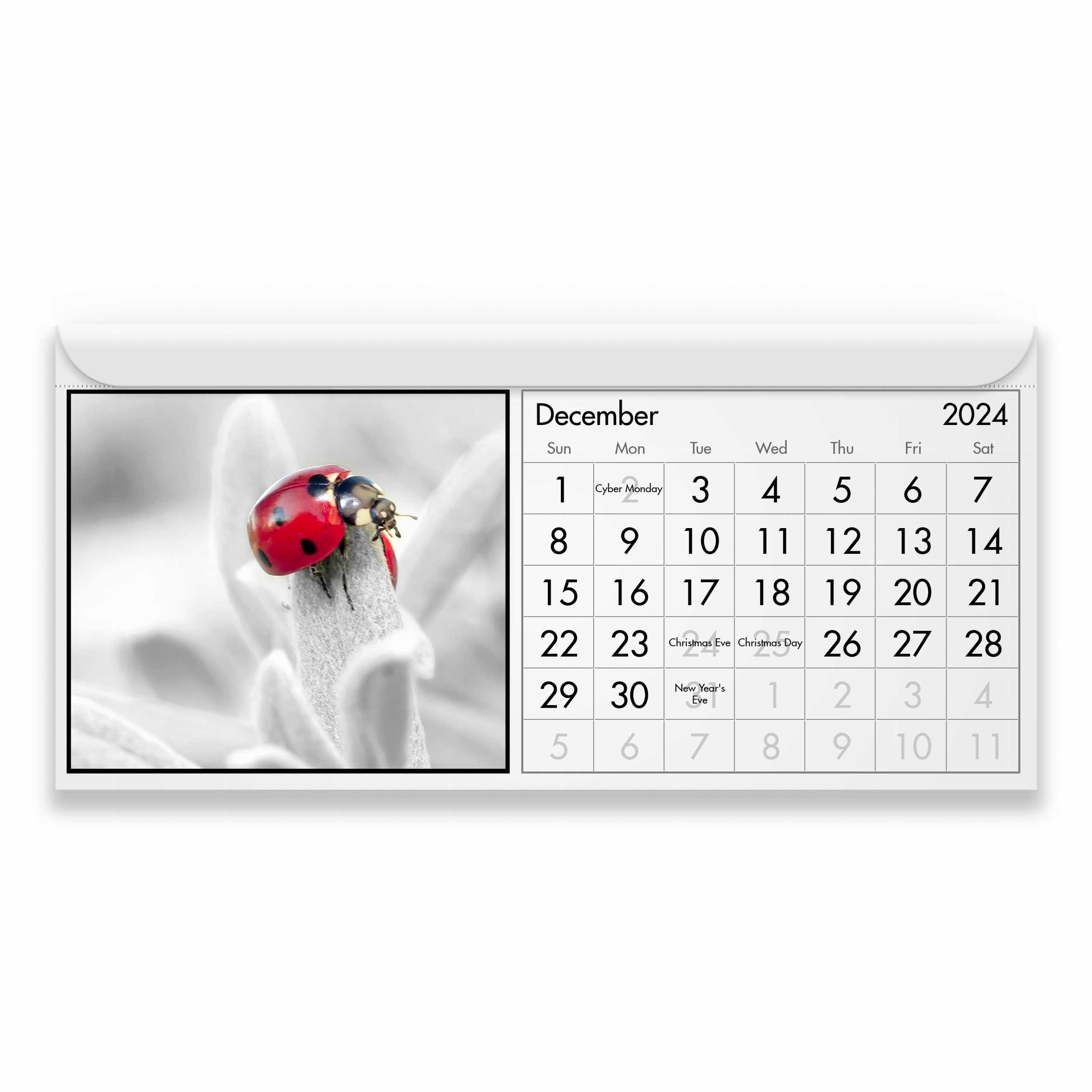 Bright Day, Calendario magnetico da parete per frigorifero 2024