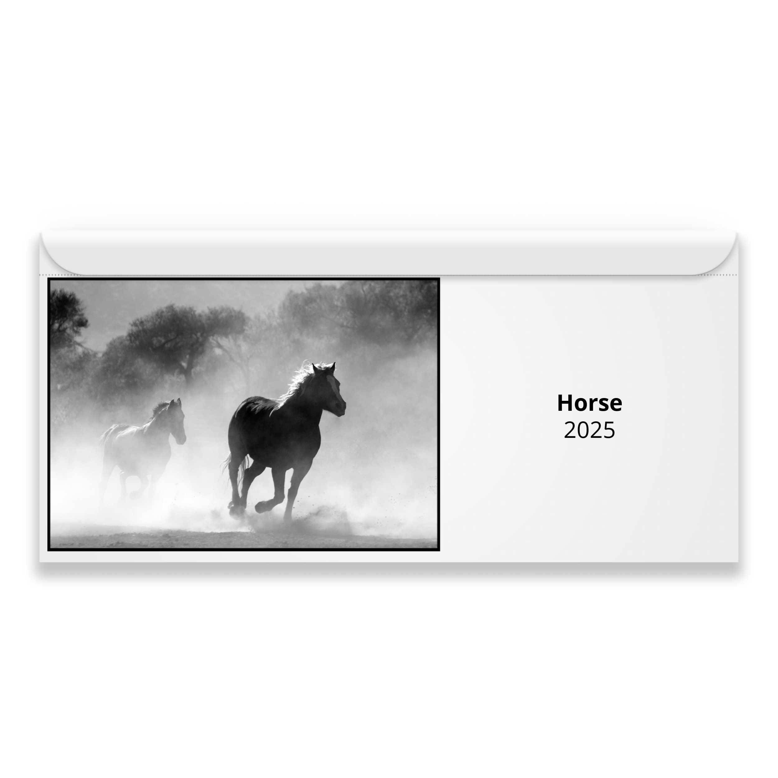 Horse 2025 Calendar