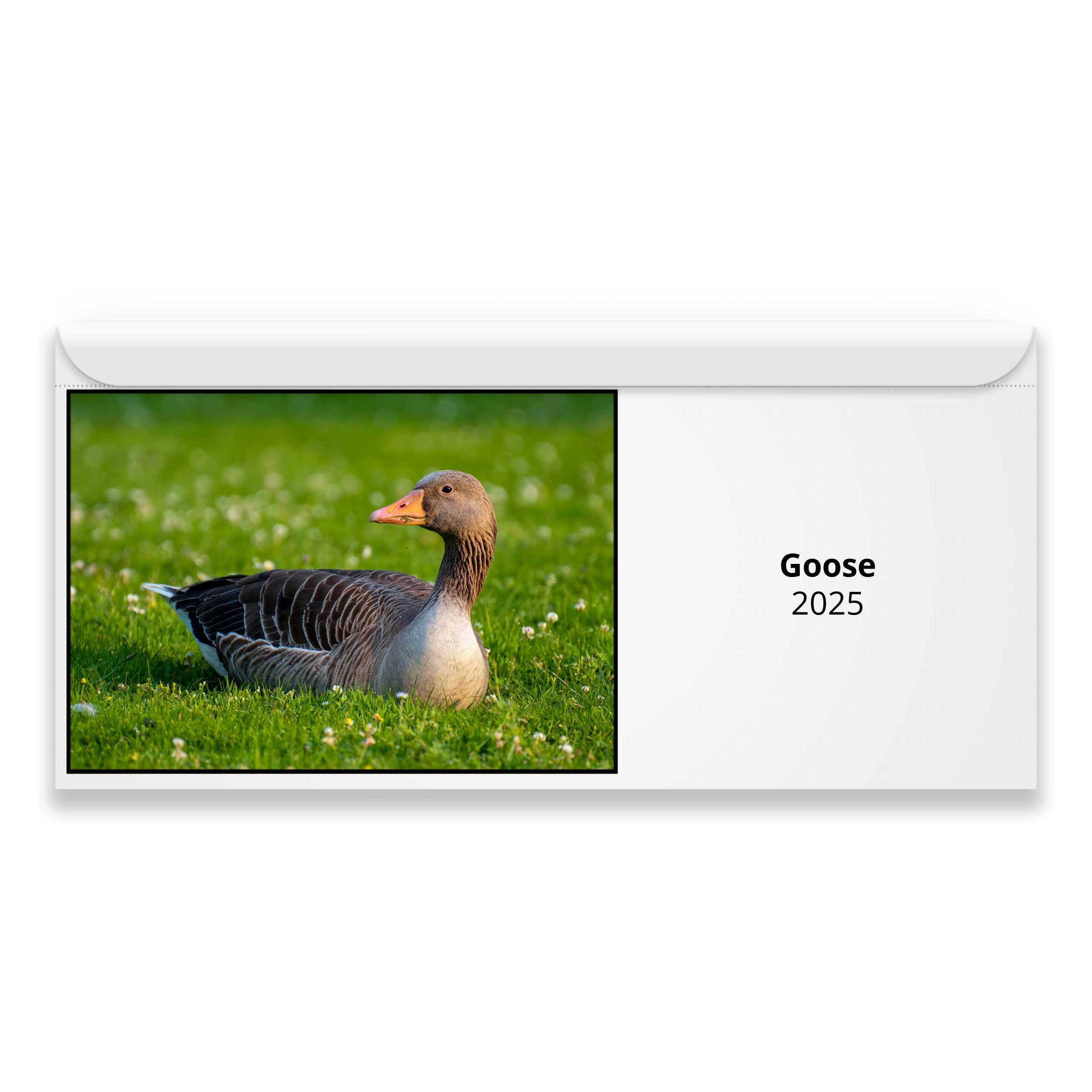 Goose Setlist 2024 Calendar Gavra Annelise
