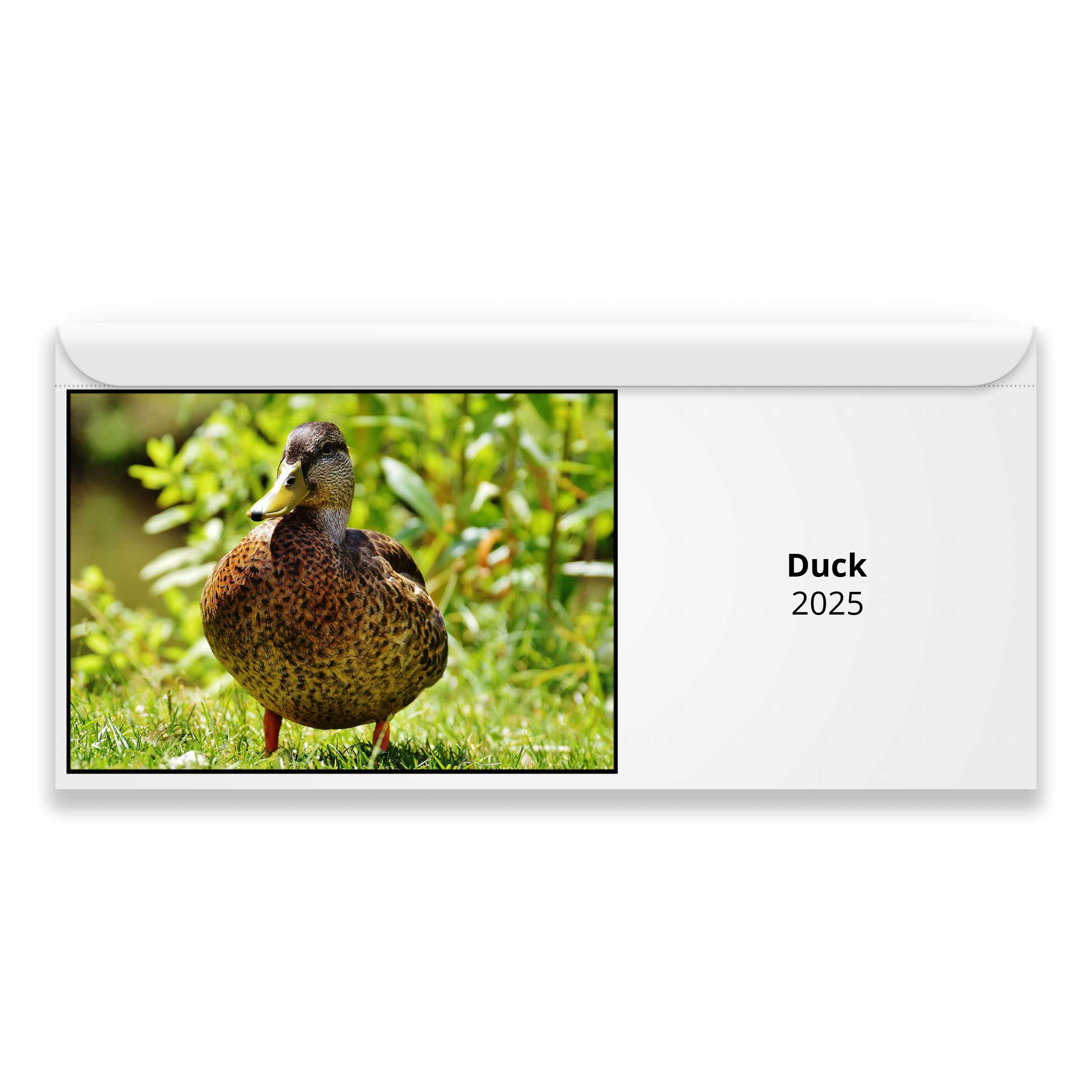 Duck 2025 Calendar