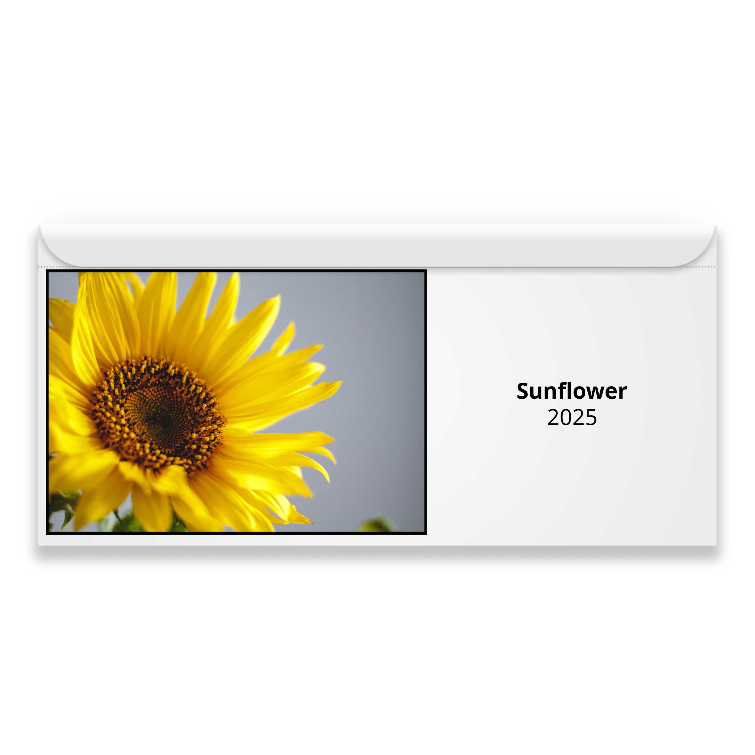 Sunflower 2025 Calendar
