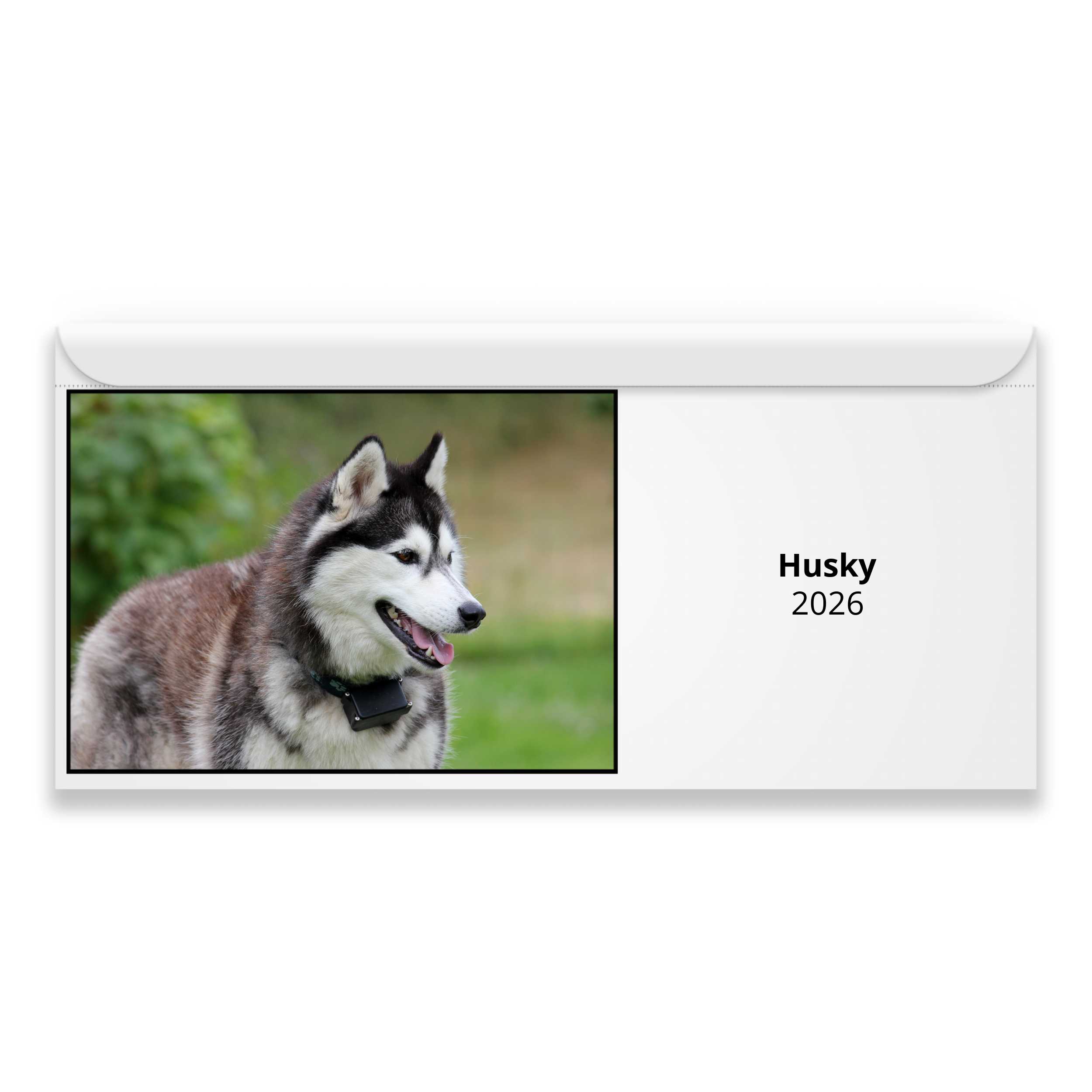 Husky 2026 Calendar