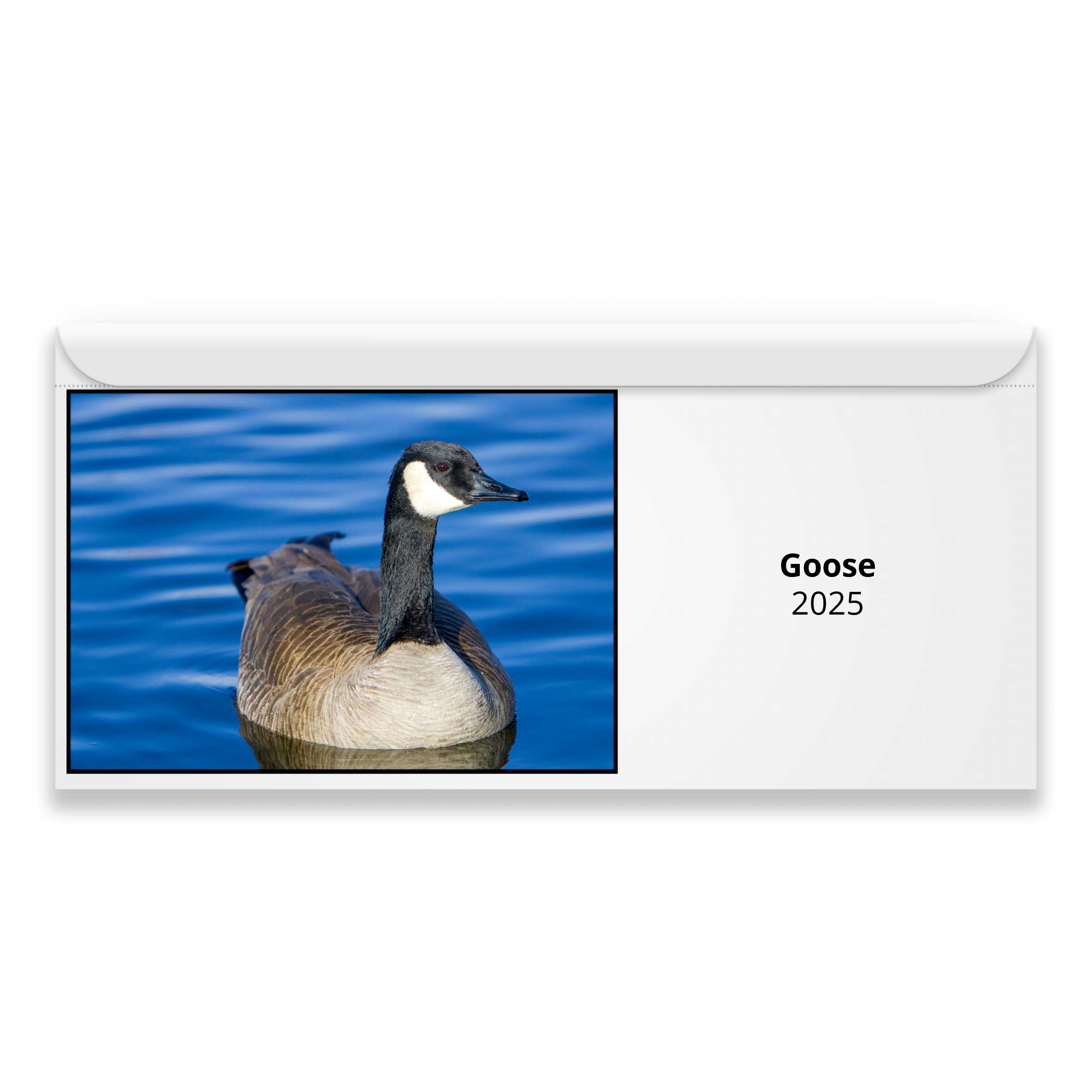 Goose 2025 Calendar