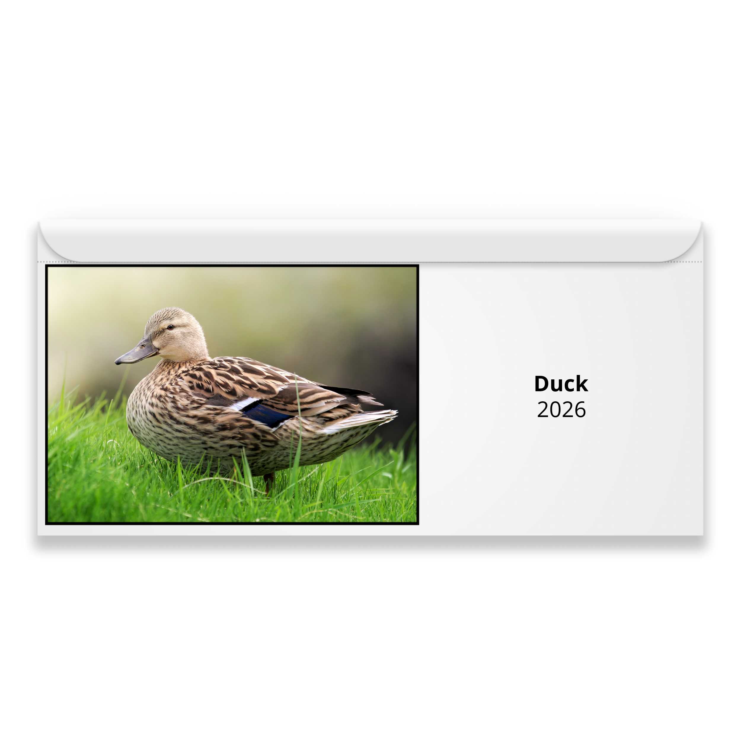 Duck 2026 Calendar