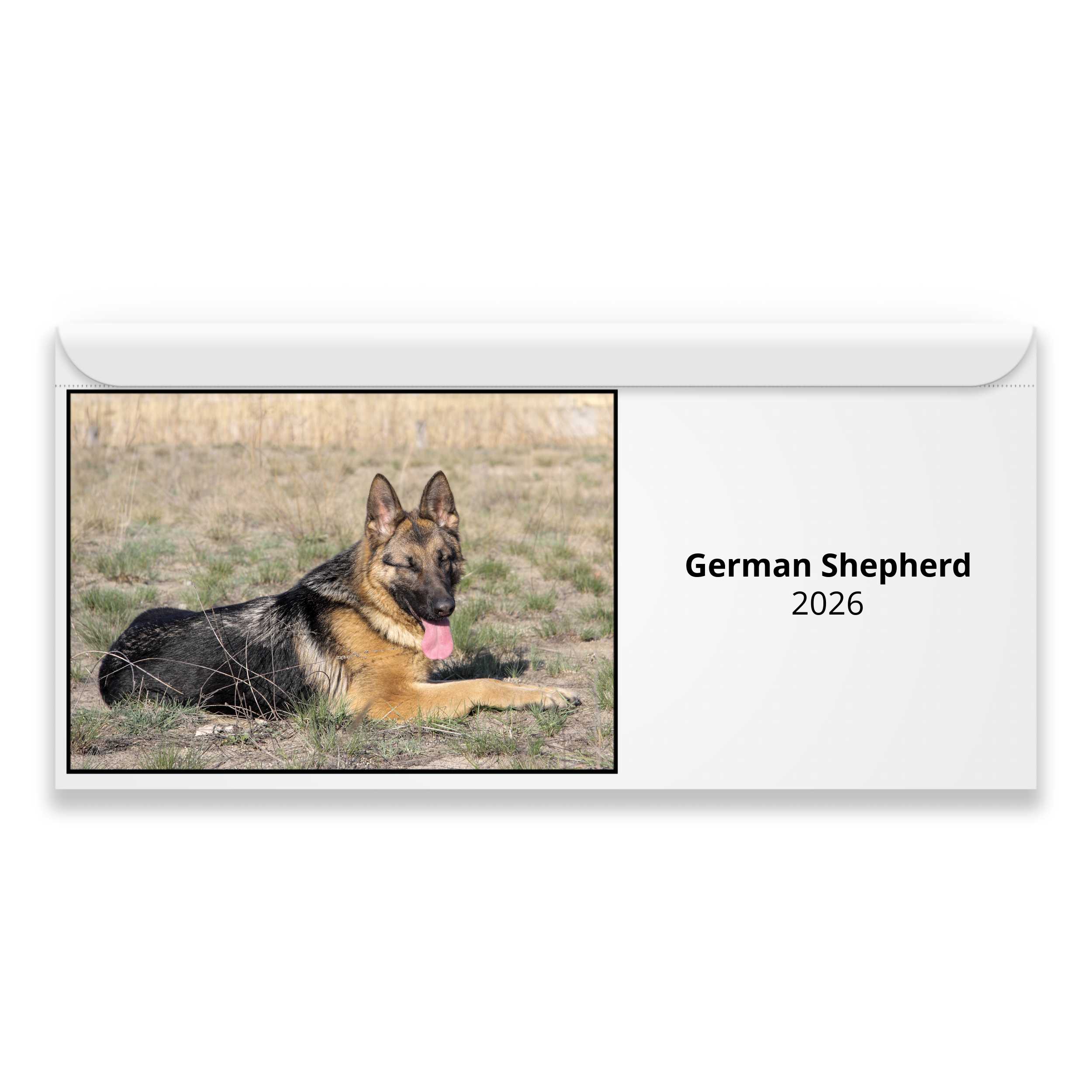 German Shepherd 2026 Calendar