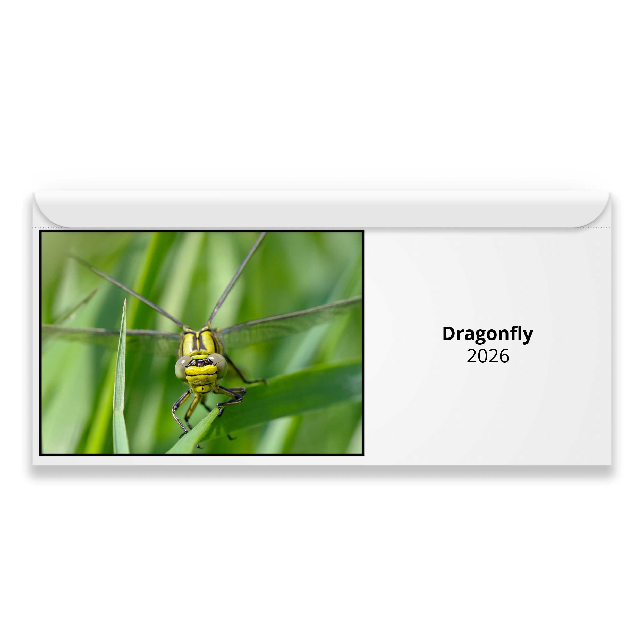 Dragonfly 2026 Calendar