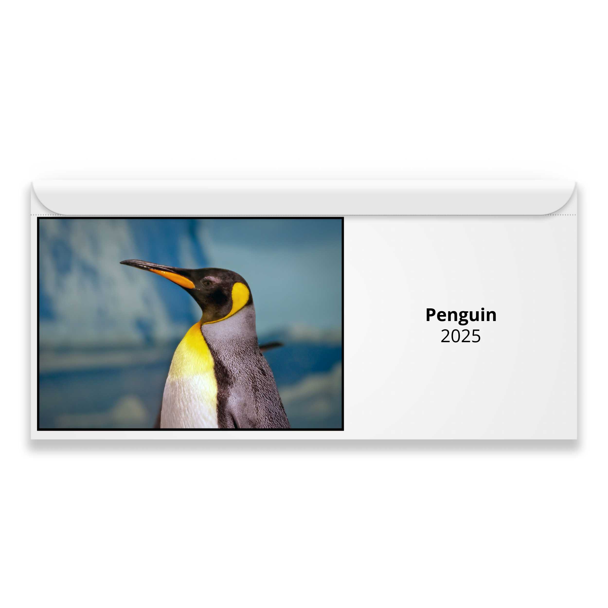 Eric The Penguin Calendar 2025 Renae Mahala