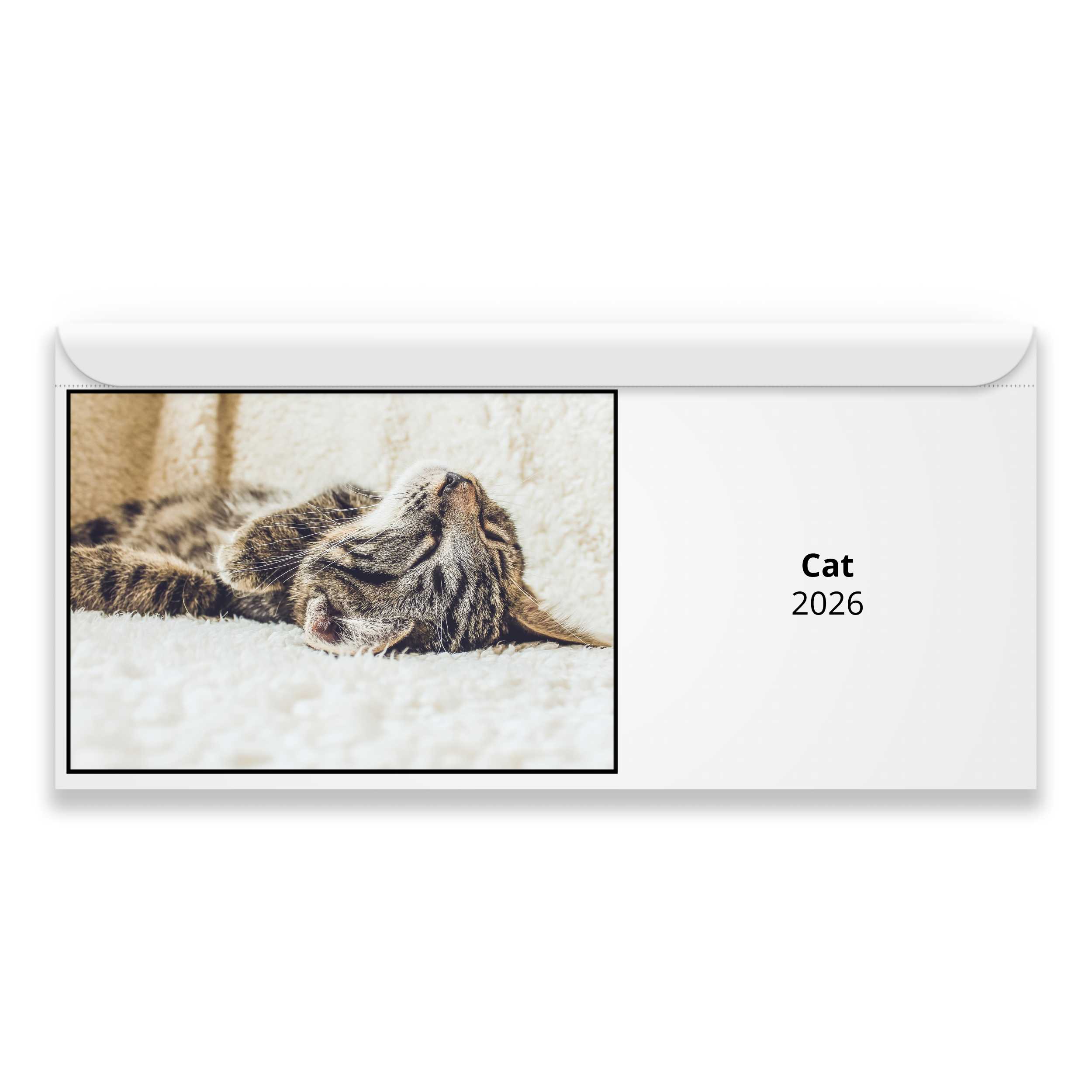 Cat 2026 Calendar