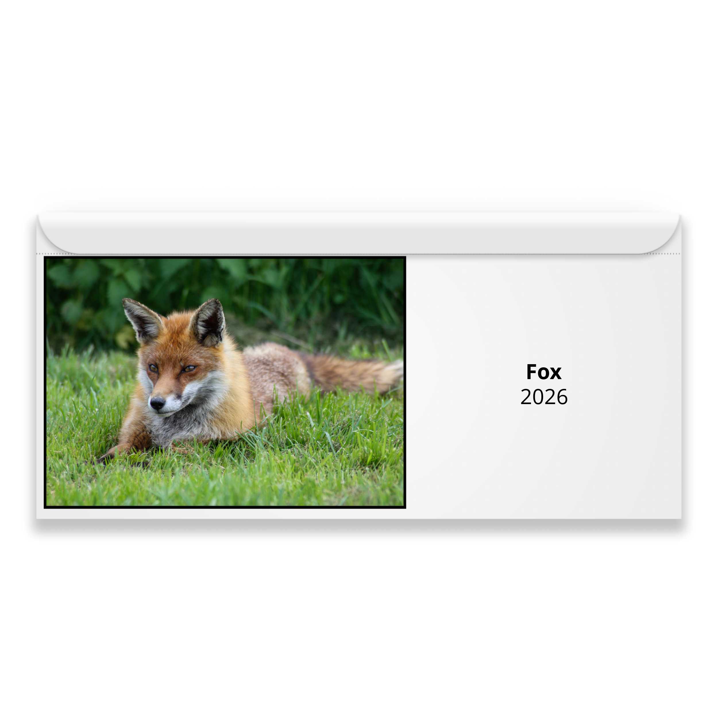 Fox 2026 Calendar