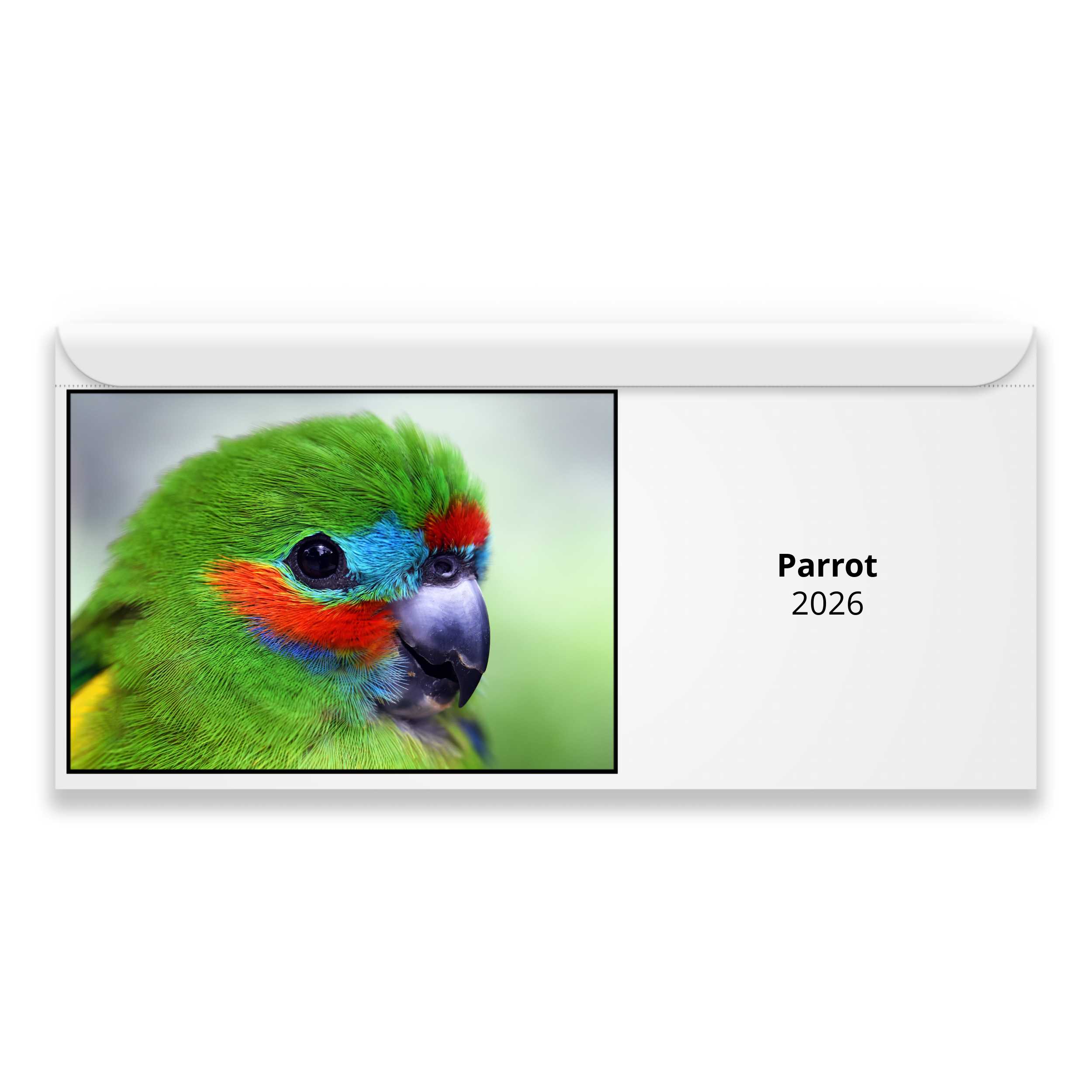 Parrot 2026 Calendar