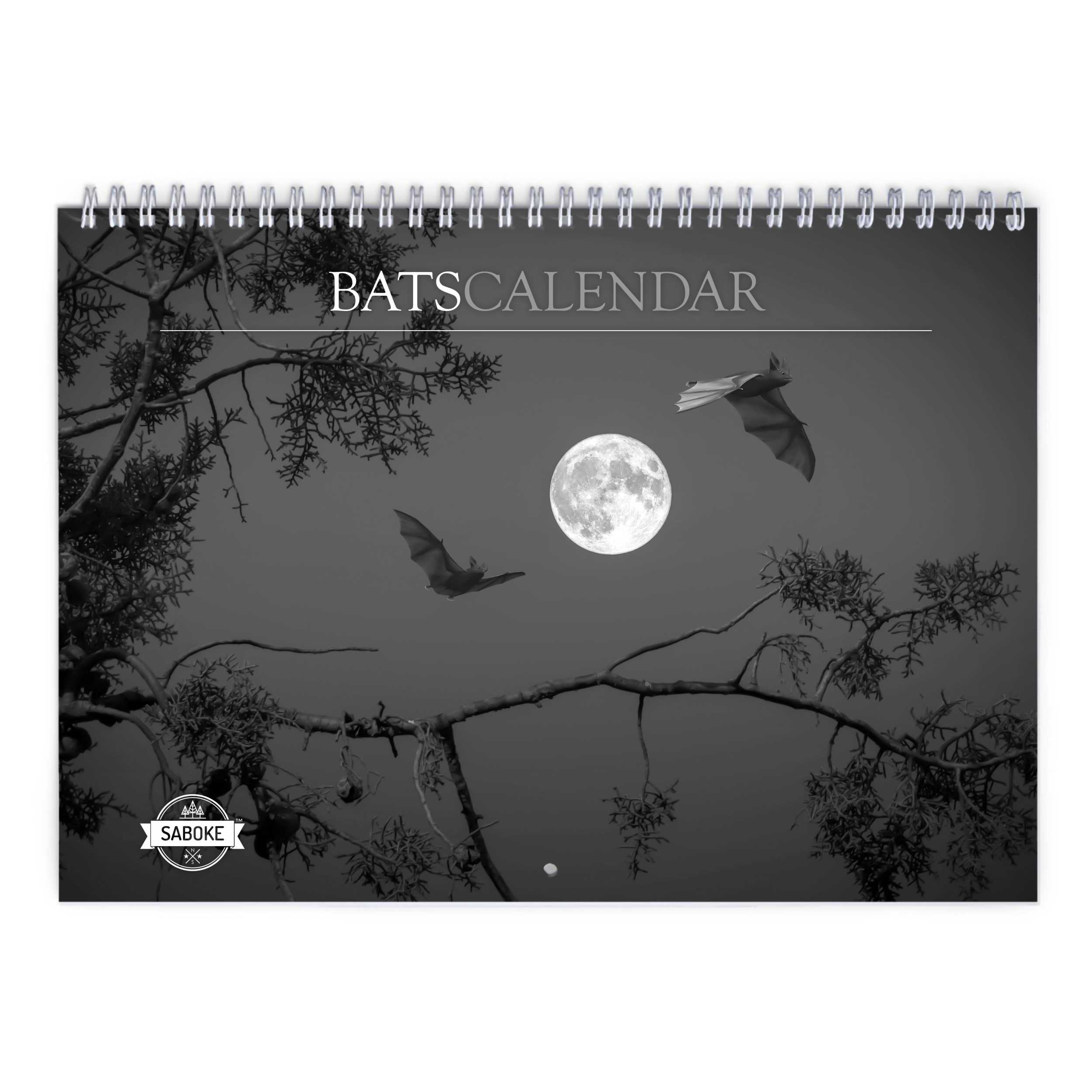 Bats 2025 Wall Calendar
