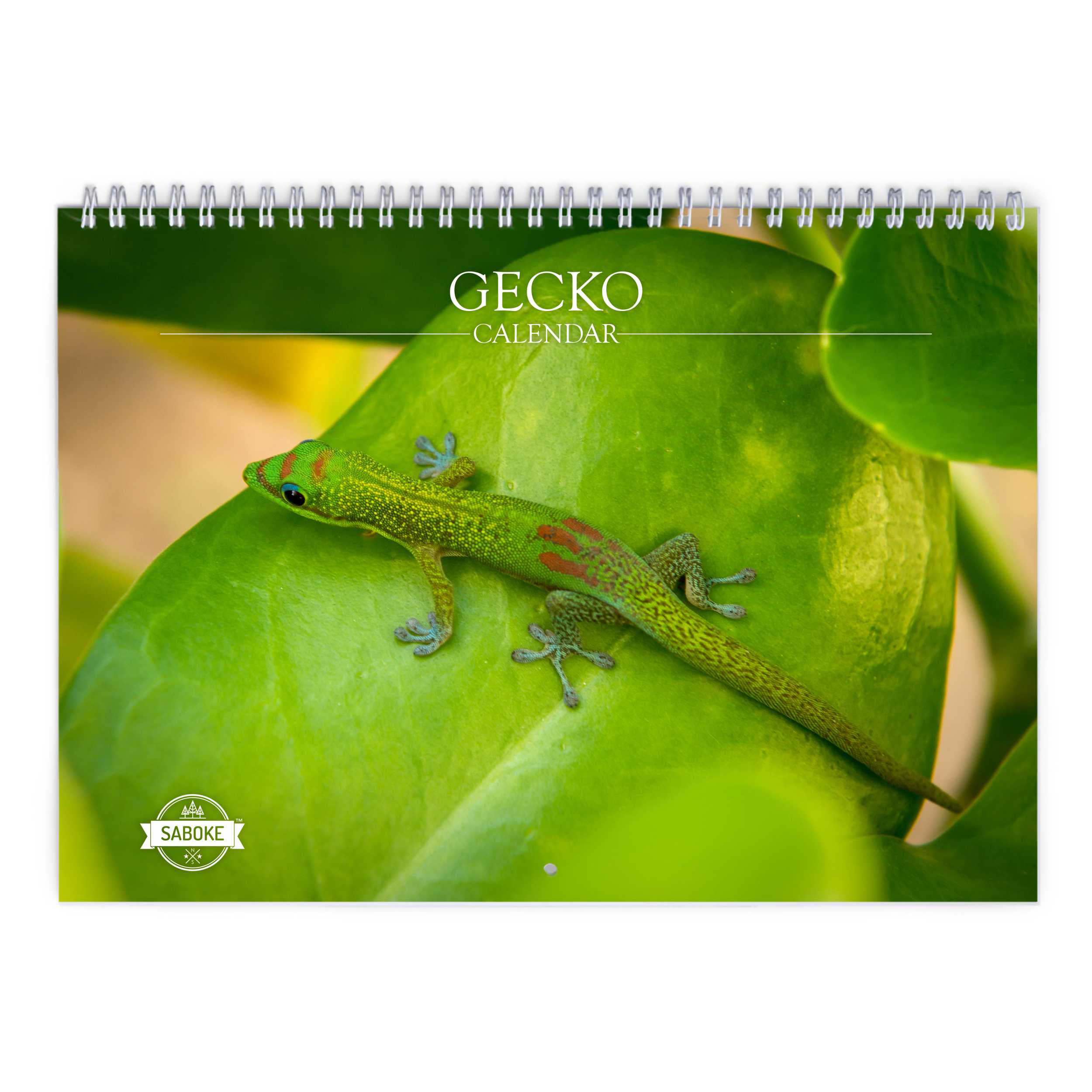 Gecko 2025 Wall Calendar