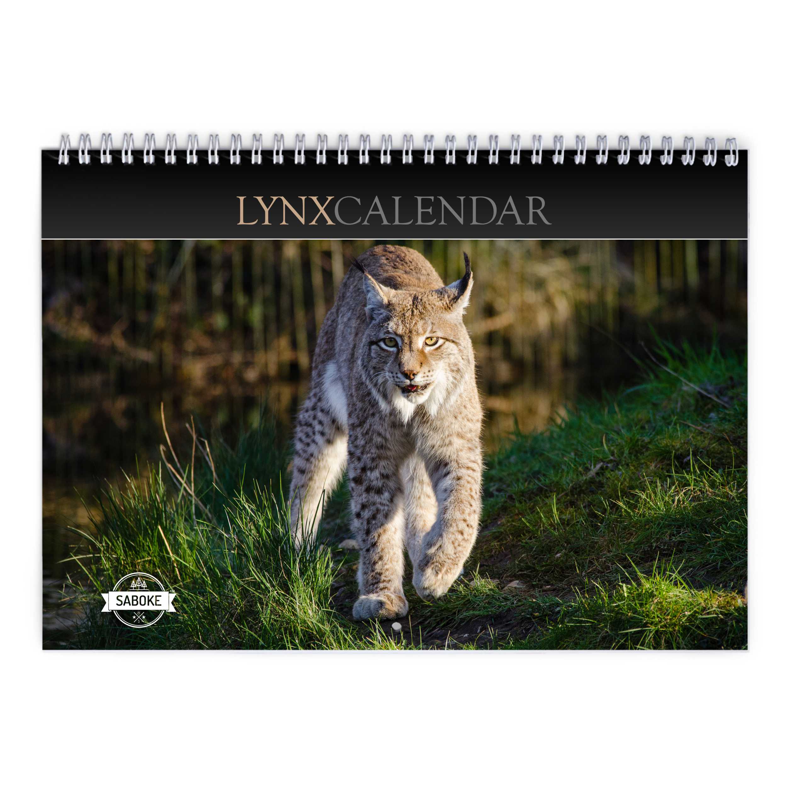 Lynx 2024 Wall Calendar