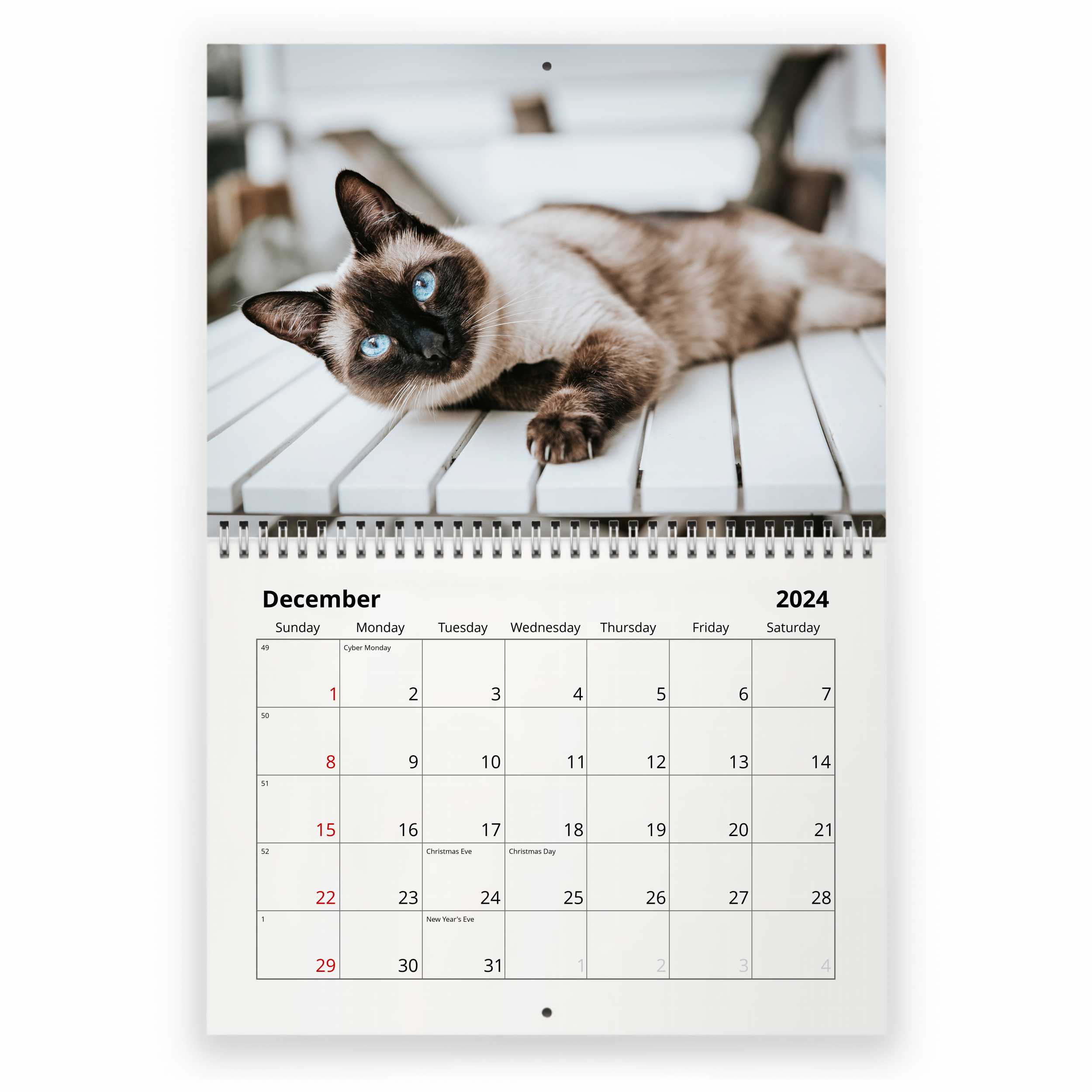 Calendrier artistique de chat siamois 2024, peinture calendrier