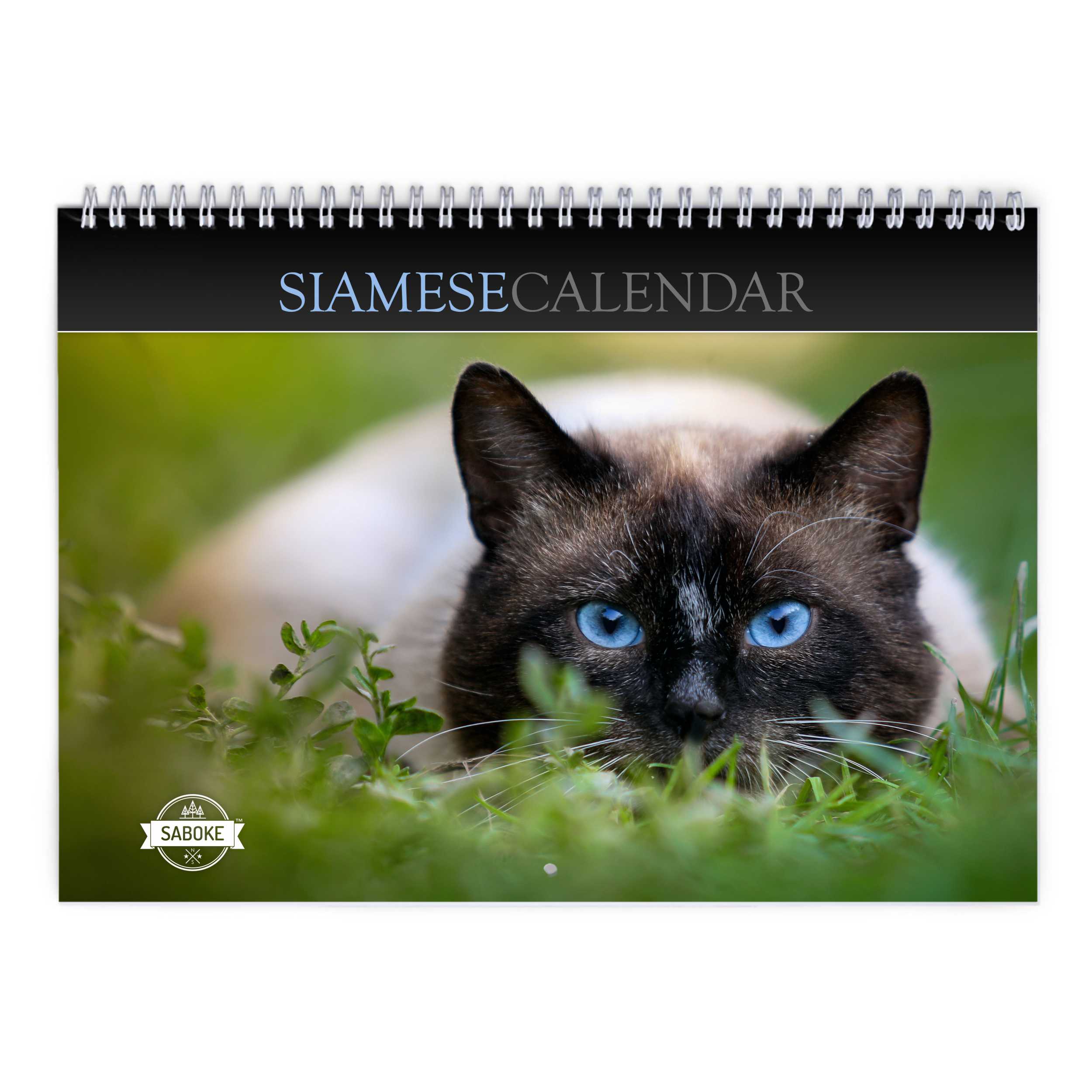 Siamese Cat 2025 Wall Calendar