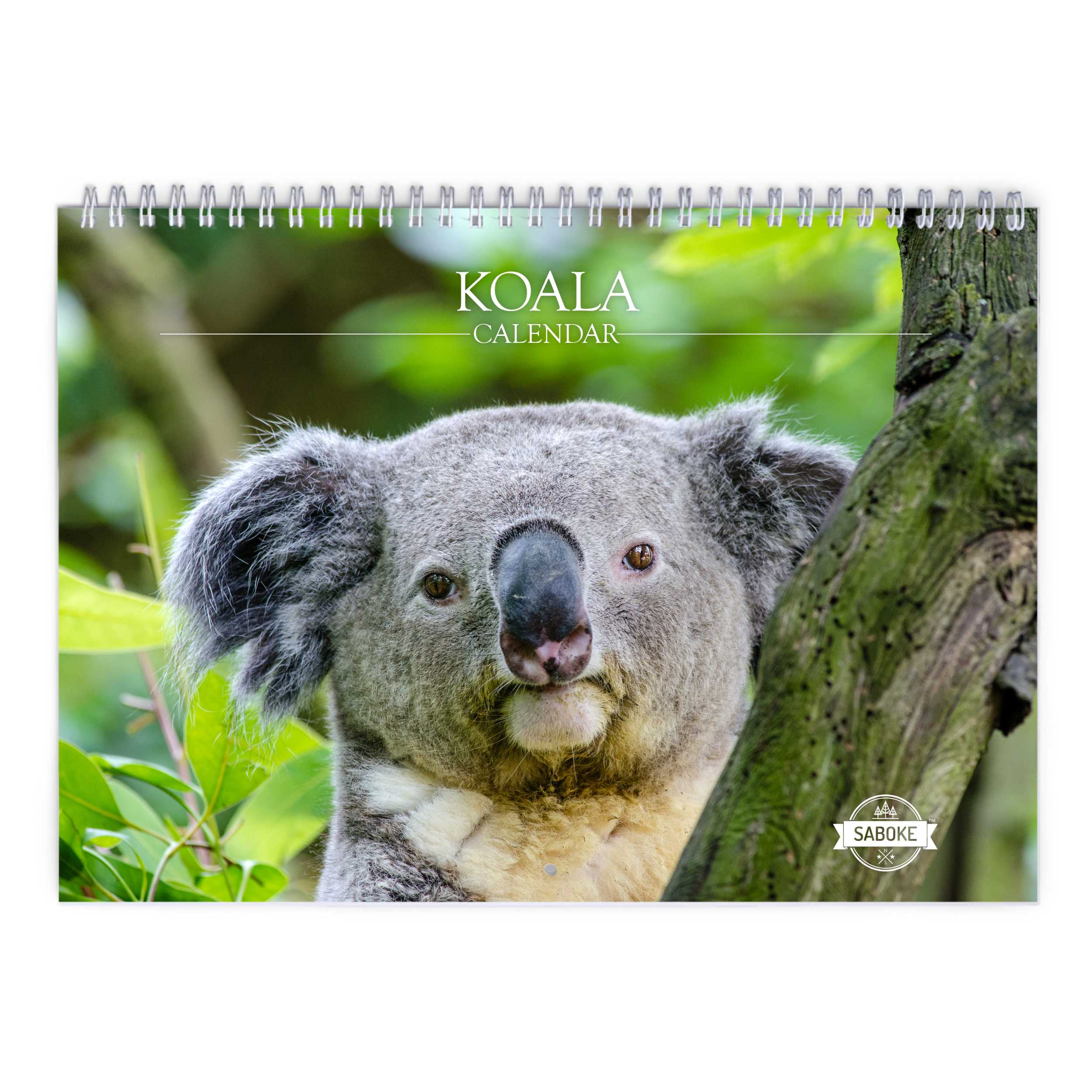 Koala 2024 Wall Calendar Koala 2024 Wall Calendar