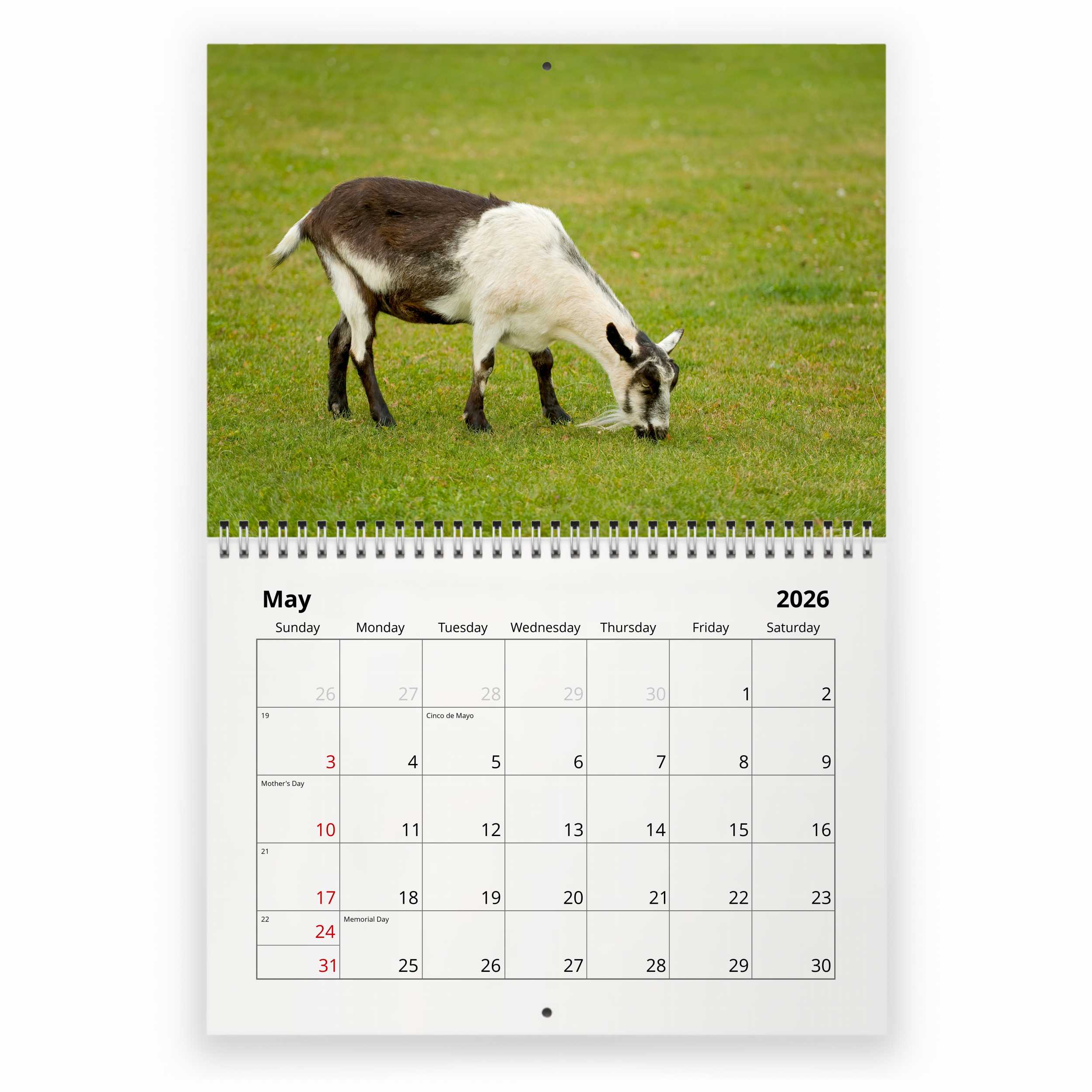 Red Robin 2026 Goats In Trees Monthly Wall Calendar | 12" X 24" Open | Premium Thick & Sturdy Paper | Hangable 12 Month Calendar | Lined Notes & To Do