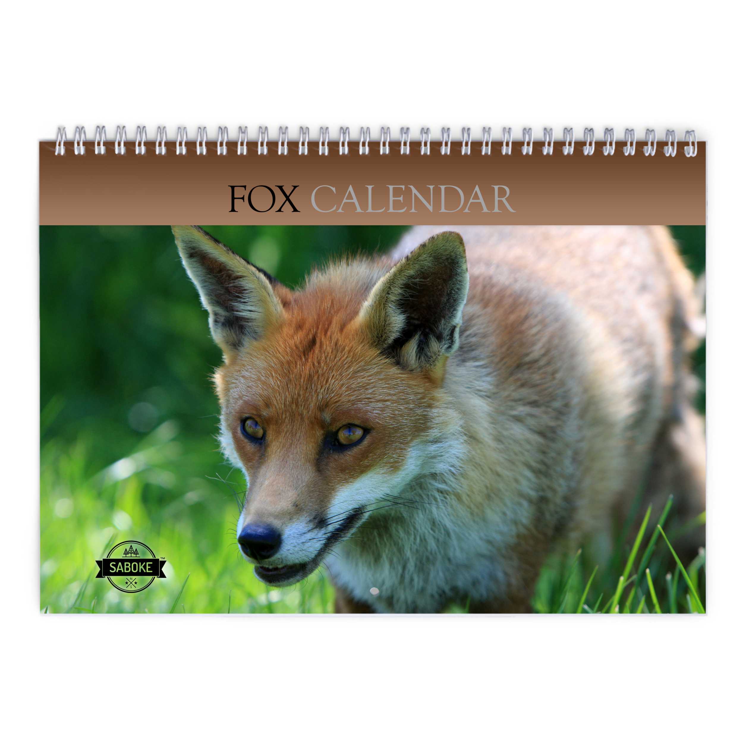 Fox 2025 Wall Calendar
