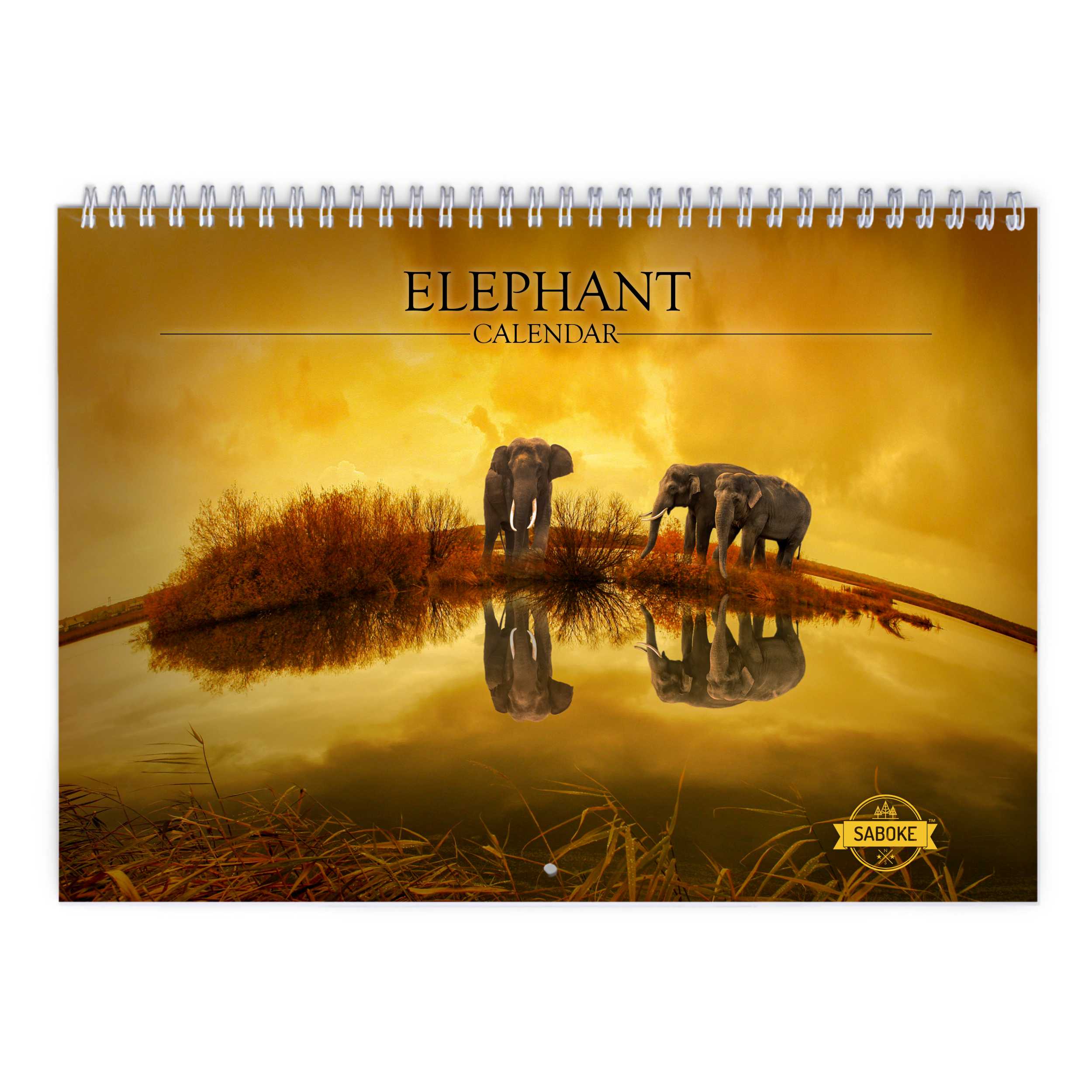 Elephant 2025 Wall Calendar