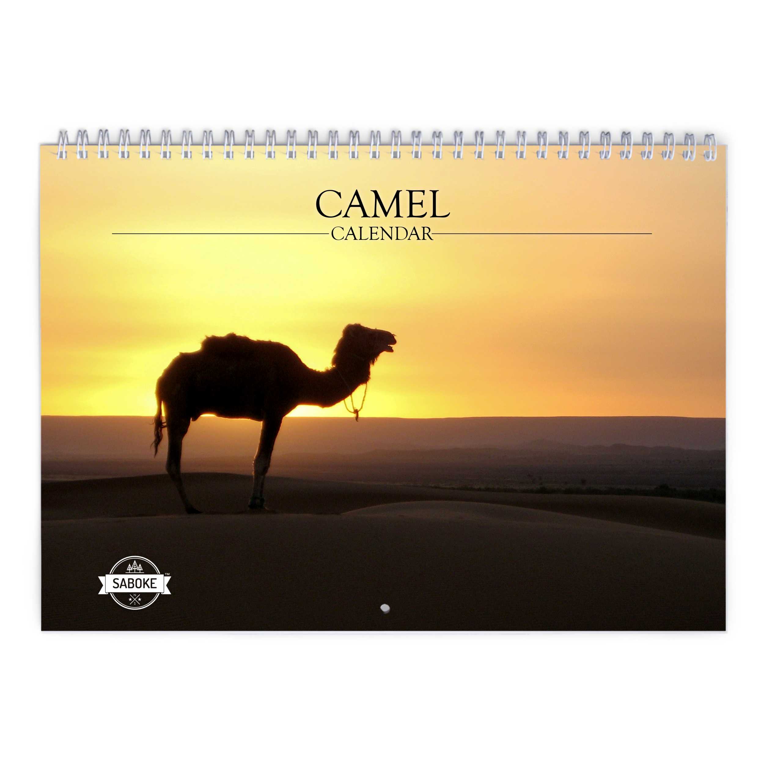 Camel 2025 Wall Calendar