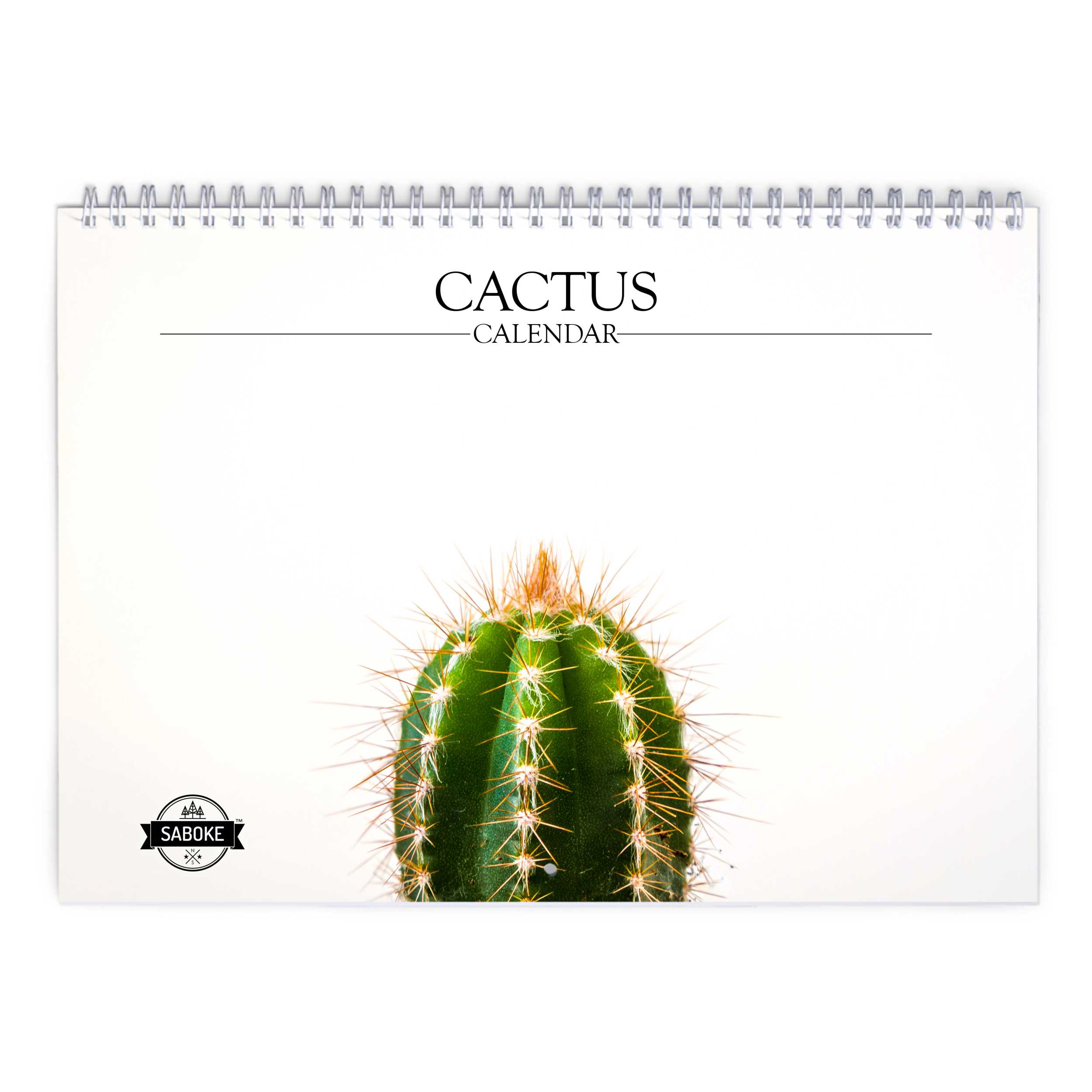 Cactus 2024 Calendrier Mural