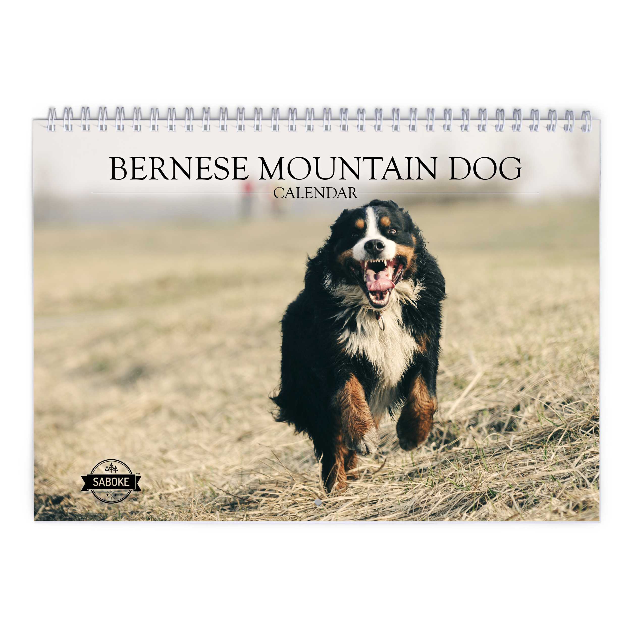 Bernese Mountain Dog 2024 Wall Calendar