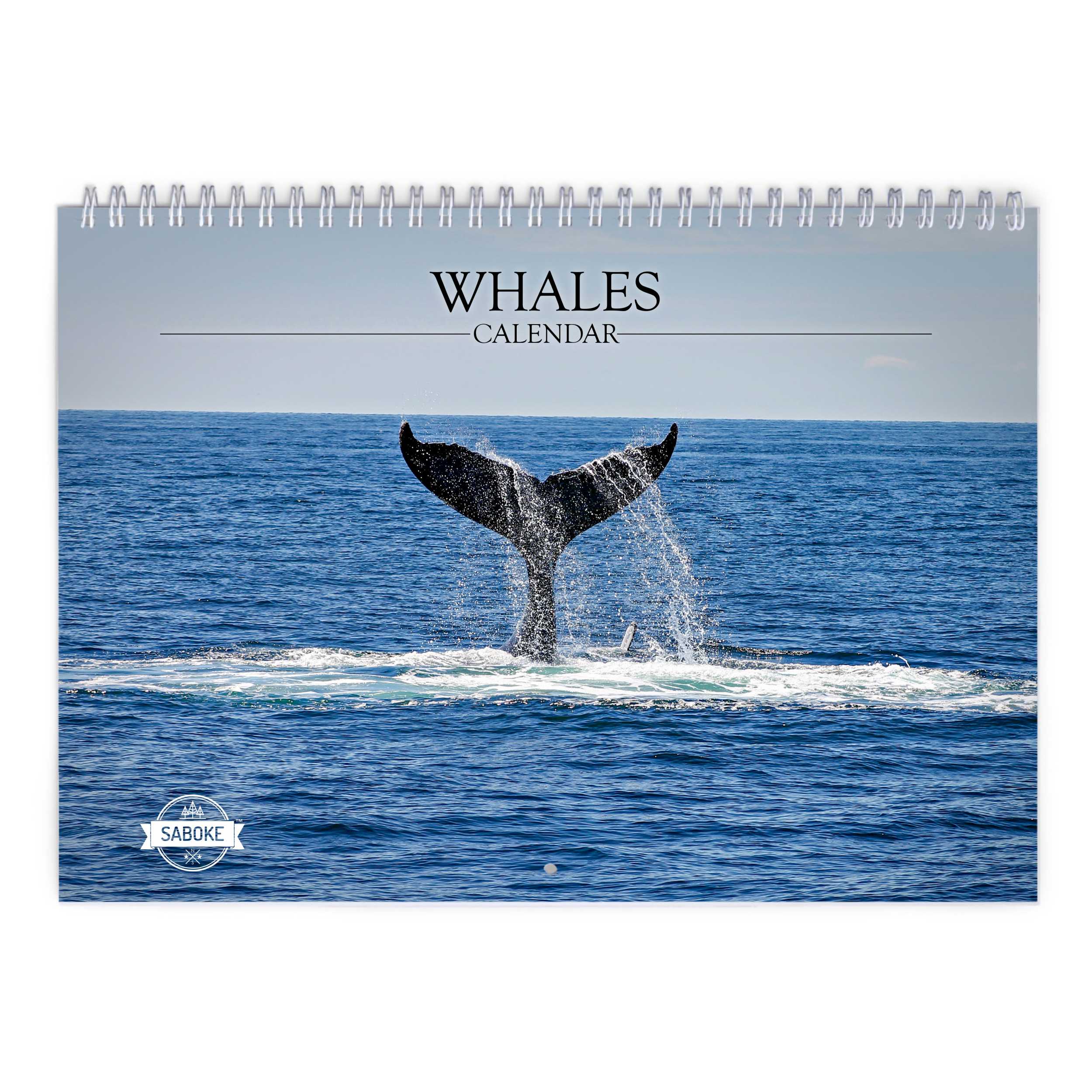 Whale 2025 Wall Calendar