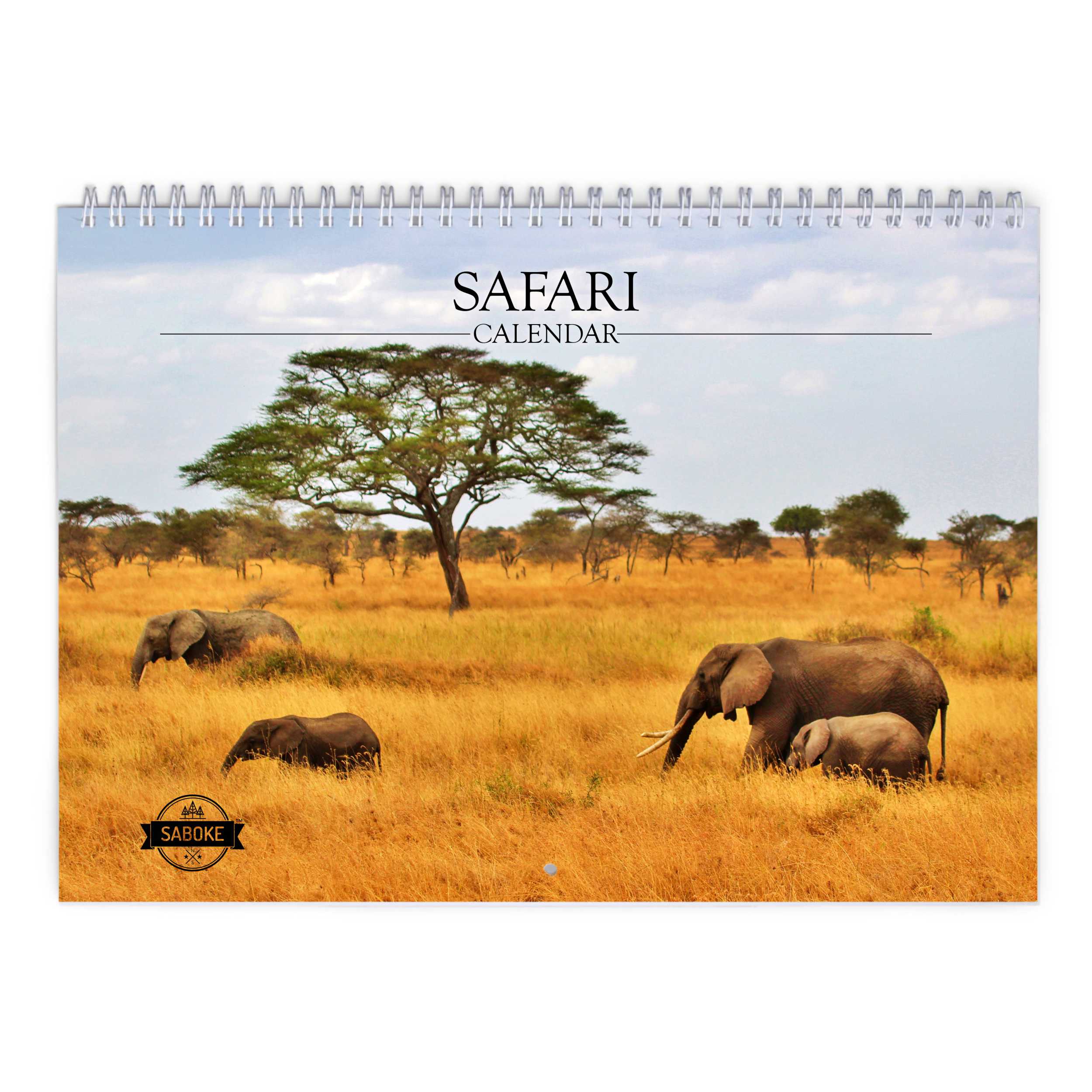 Safar 2025 Calendar Catha Daloris